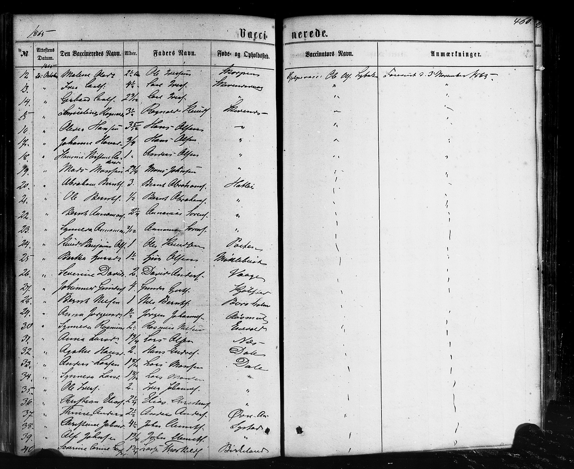 Hyllestad sokneprestembete, SAB/A-80401: Parish register (official) no. A 1, 1861-1886, p. 460