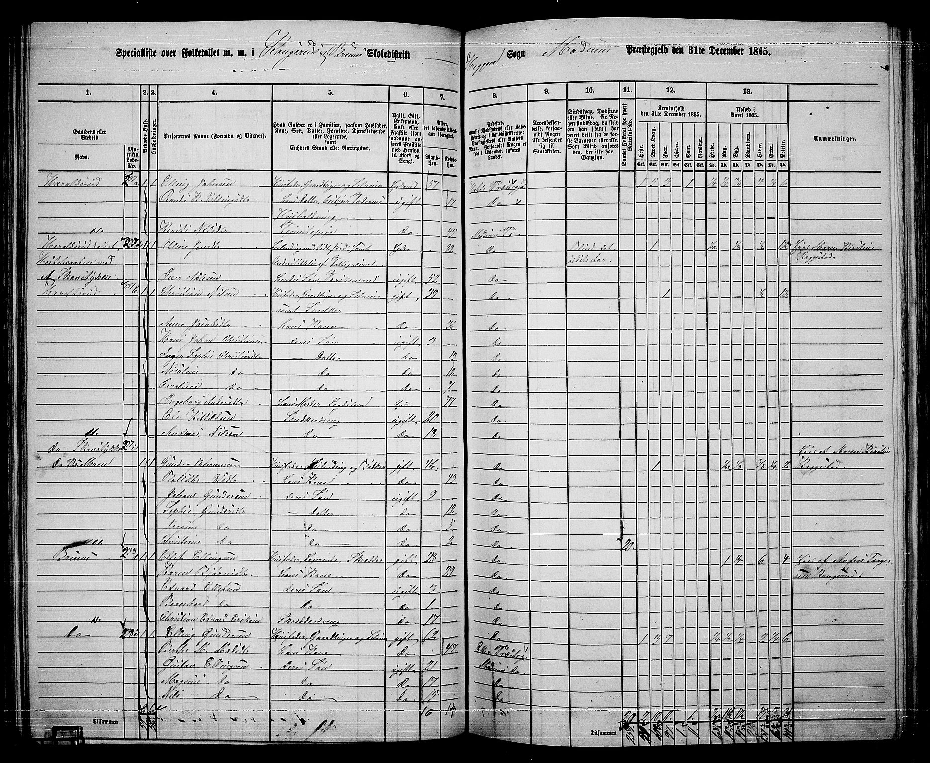 RA, 1865 census for Modum, 1865, p. 141