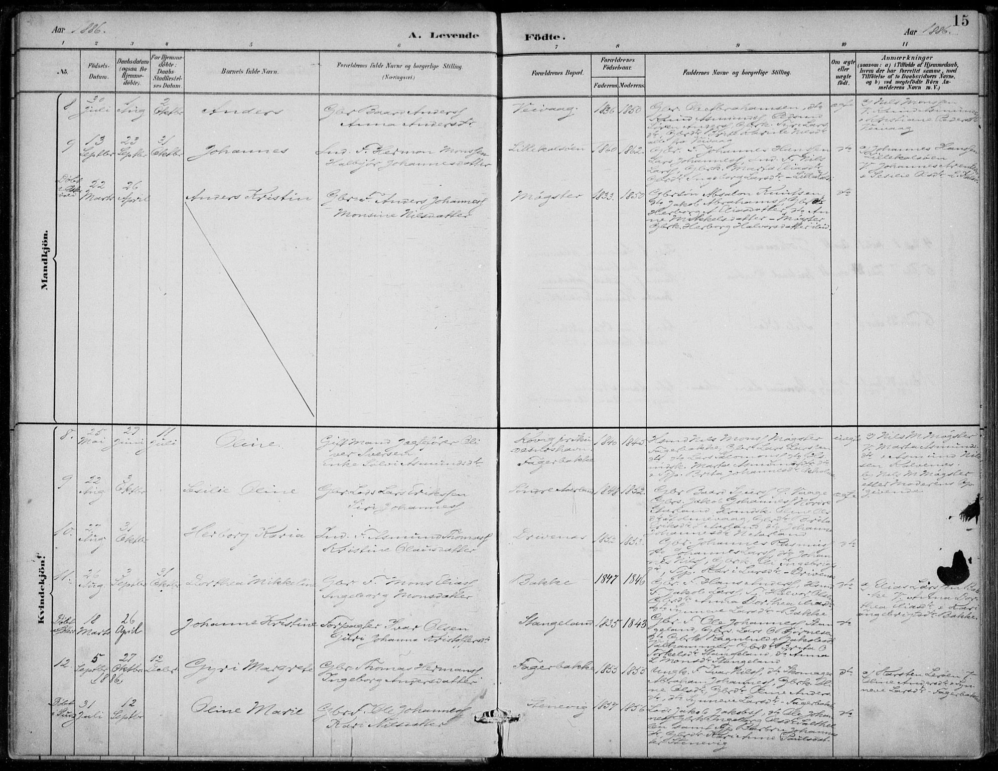 Sund sokneprestembete, AV/SAB-A-99930: Parish register (official) no. D 1, 1882-1899, p. 15