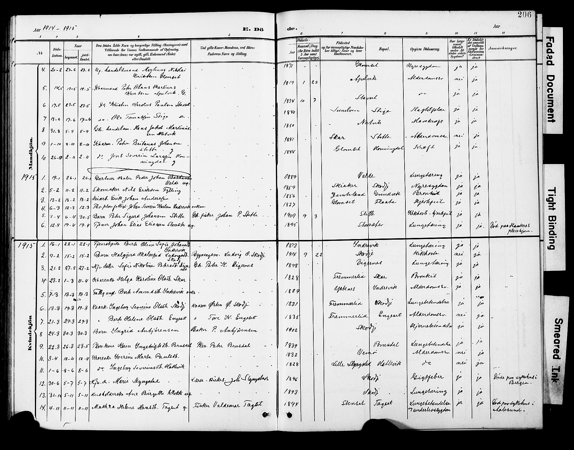 Ministerialprotokoller, klokkerbøker og fødselsregistre - Møre og Romsdal, AV/SAT-A-1454/524/L0366: Parish register (copy) no. 524C07, 1900-1931, p. 206