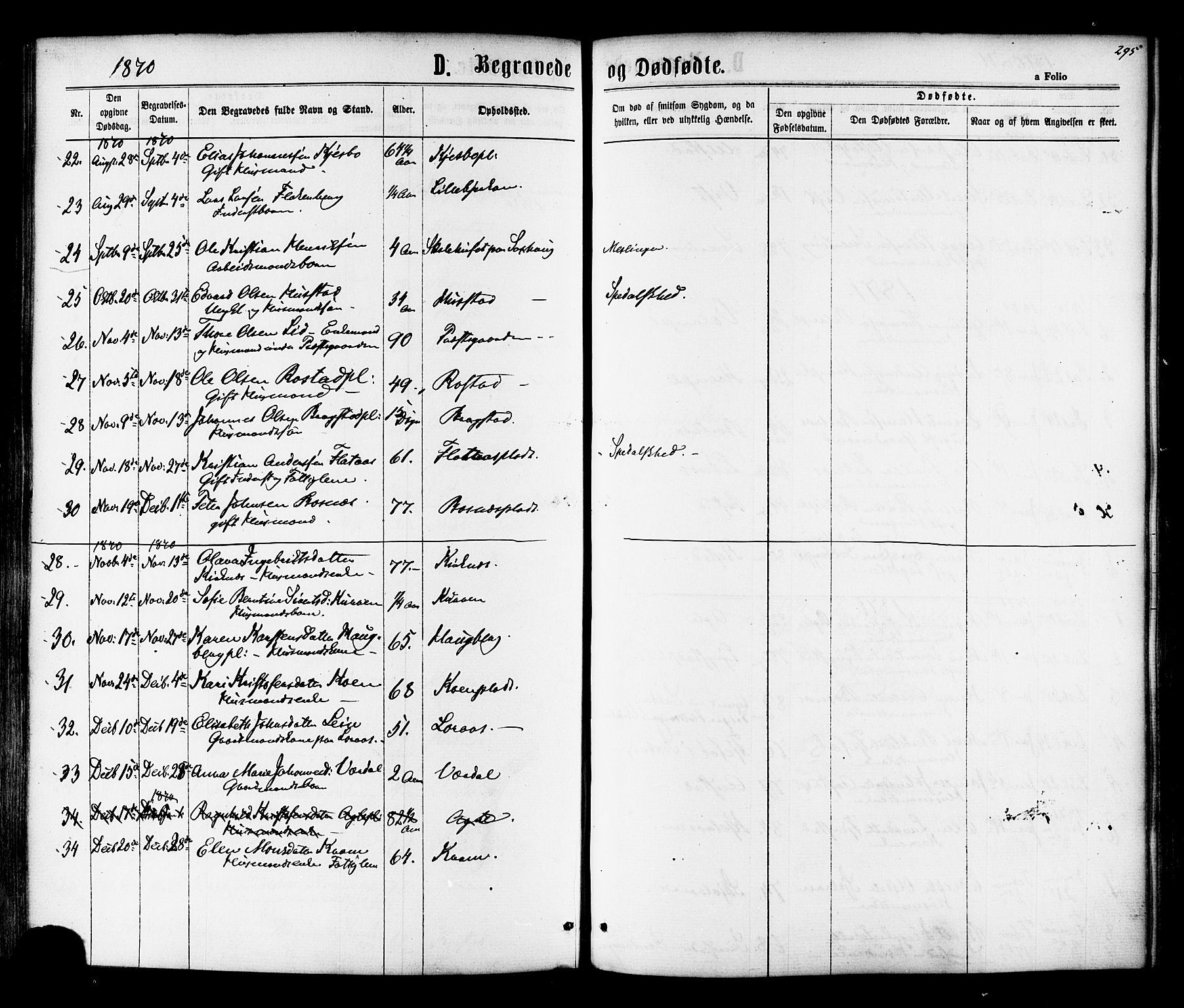 Ministerialprotokoller, klokkerbøker og fødselsregistre - Nord-Trøndelag, AV/SAT-A-1458/730/L0284: Parish register (official) no. 730A09, 1866-1878, p. 295