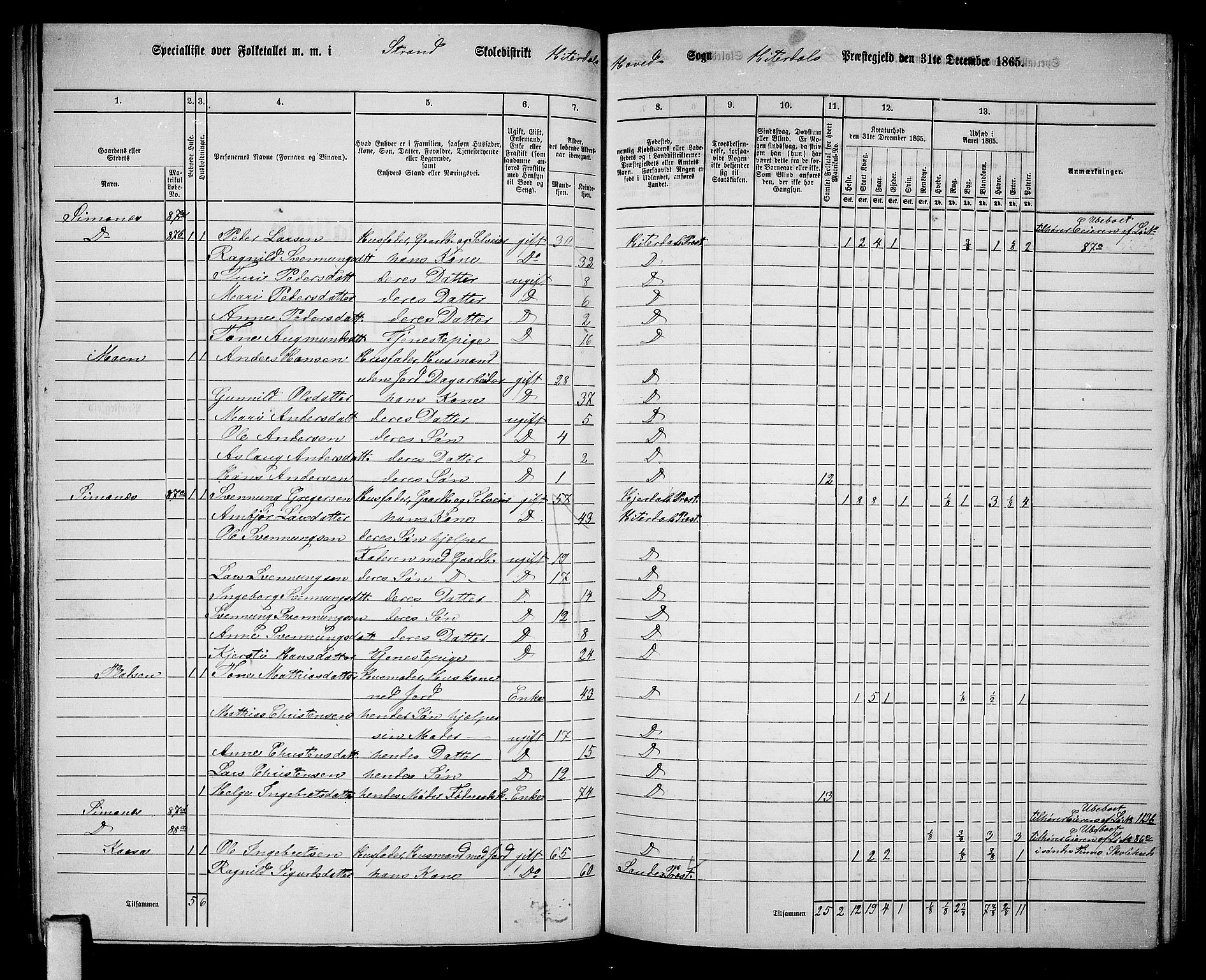 RA, 1865 census for Heddal, 1865, p. 87