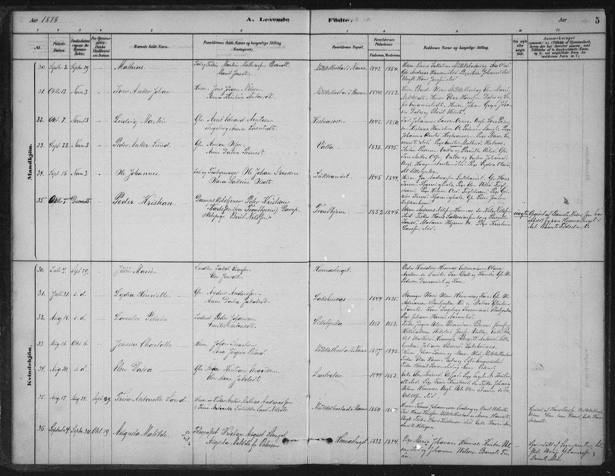 Ministerialprotokoller, klokkerbøker og fødselsregistre - Nordland, AV/SAT-A-1459/825/L0361: Parish register (official) no. 825A15, 1878-1893, p. 5