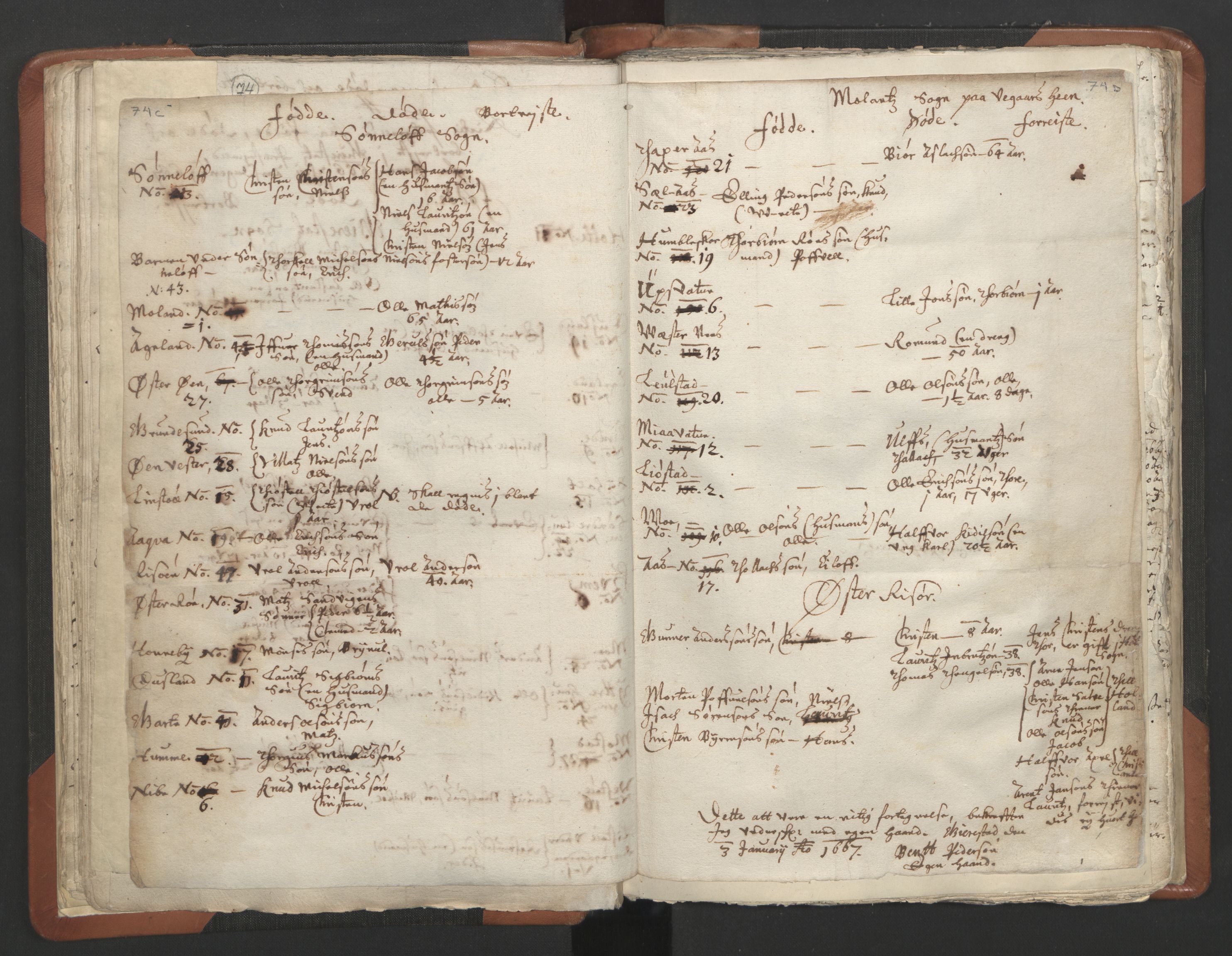 RA, Vicar's Census 1664-1666, no. 13: Nedenes deanery, 1664-1666, p. 74