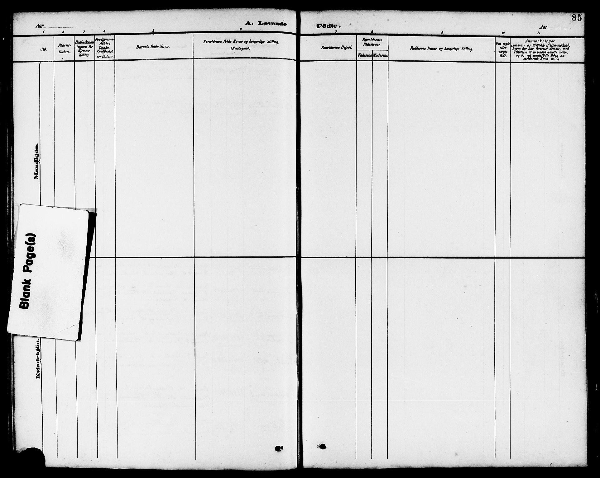 Klepp sokneprestkontor, SAST/A-101803/001/3/30BB/L0004: Parish register (copy) no. B 4, 1889-1914, p. 85