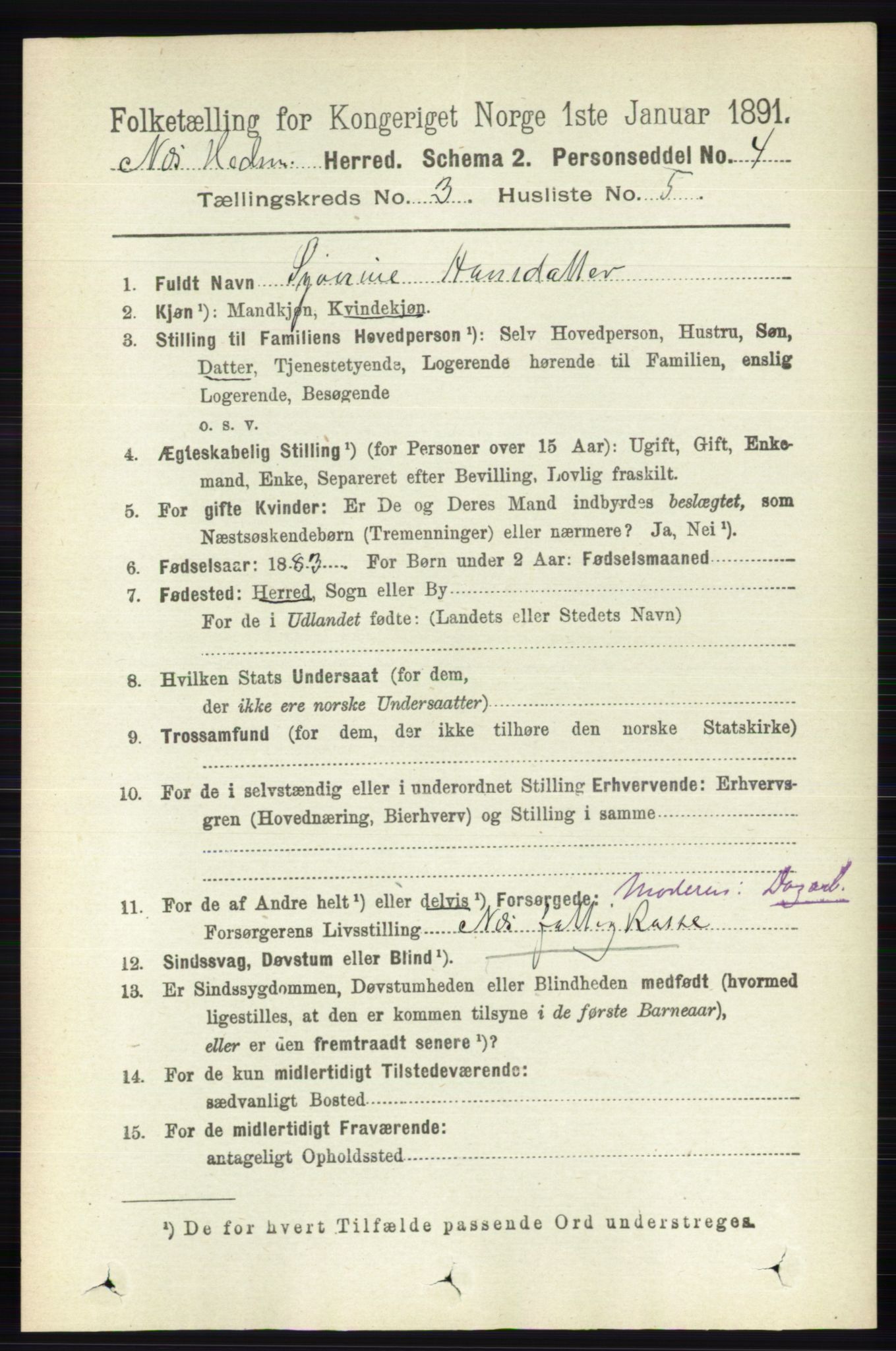 RA, 1891 census for 0411 Nes, 1891, p. 1621