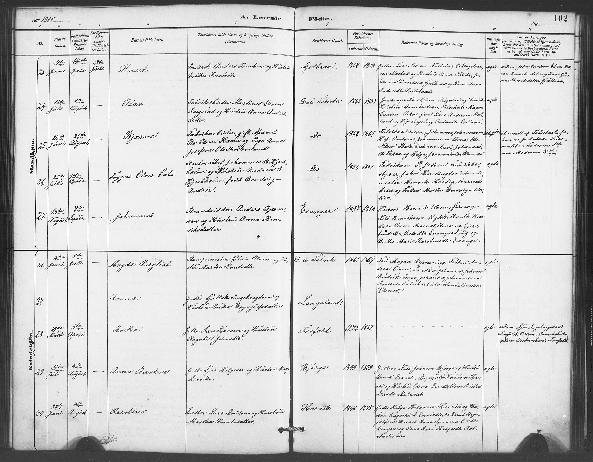 Evanger sokneprestembete, AV/SAB-A-99924: Parish register (copy) no. A 4, 1887-1897, p. 102