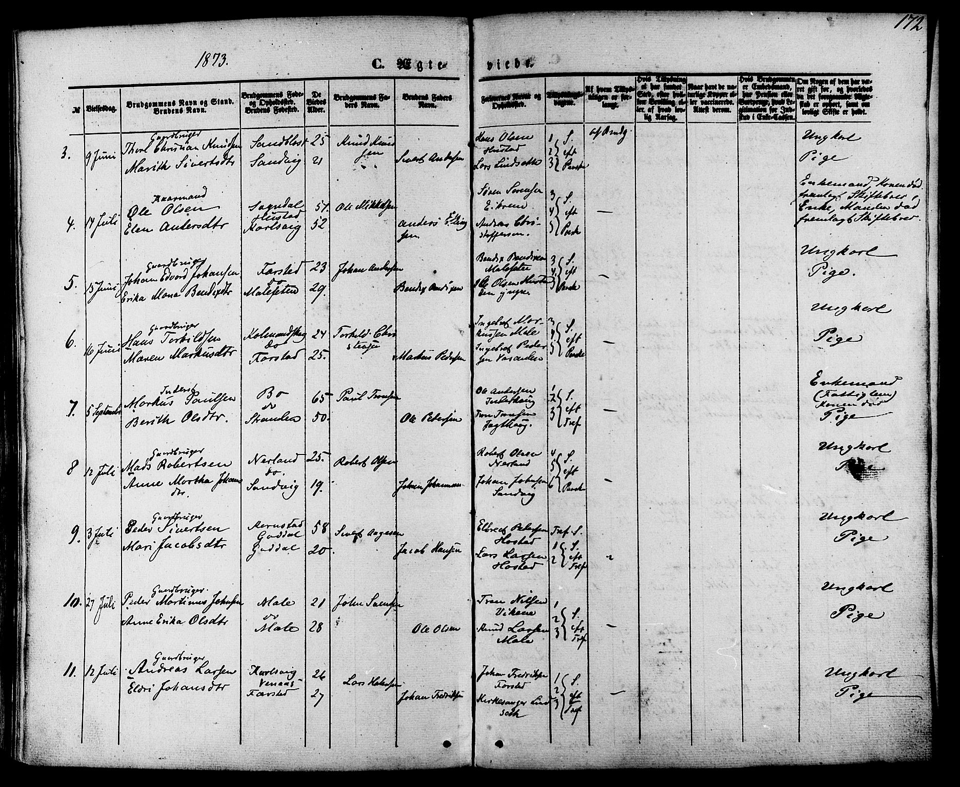 Ministerialprotokoller, klokkerbøker og fødselsregistre - Møre og Romsdal, AV/SAT-A-1454/566/L0768: Parish register (official) no. 566A07, 1869-1881, p. 172