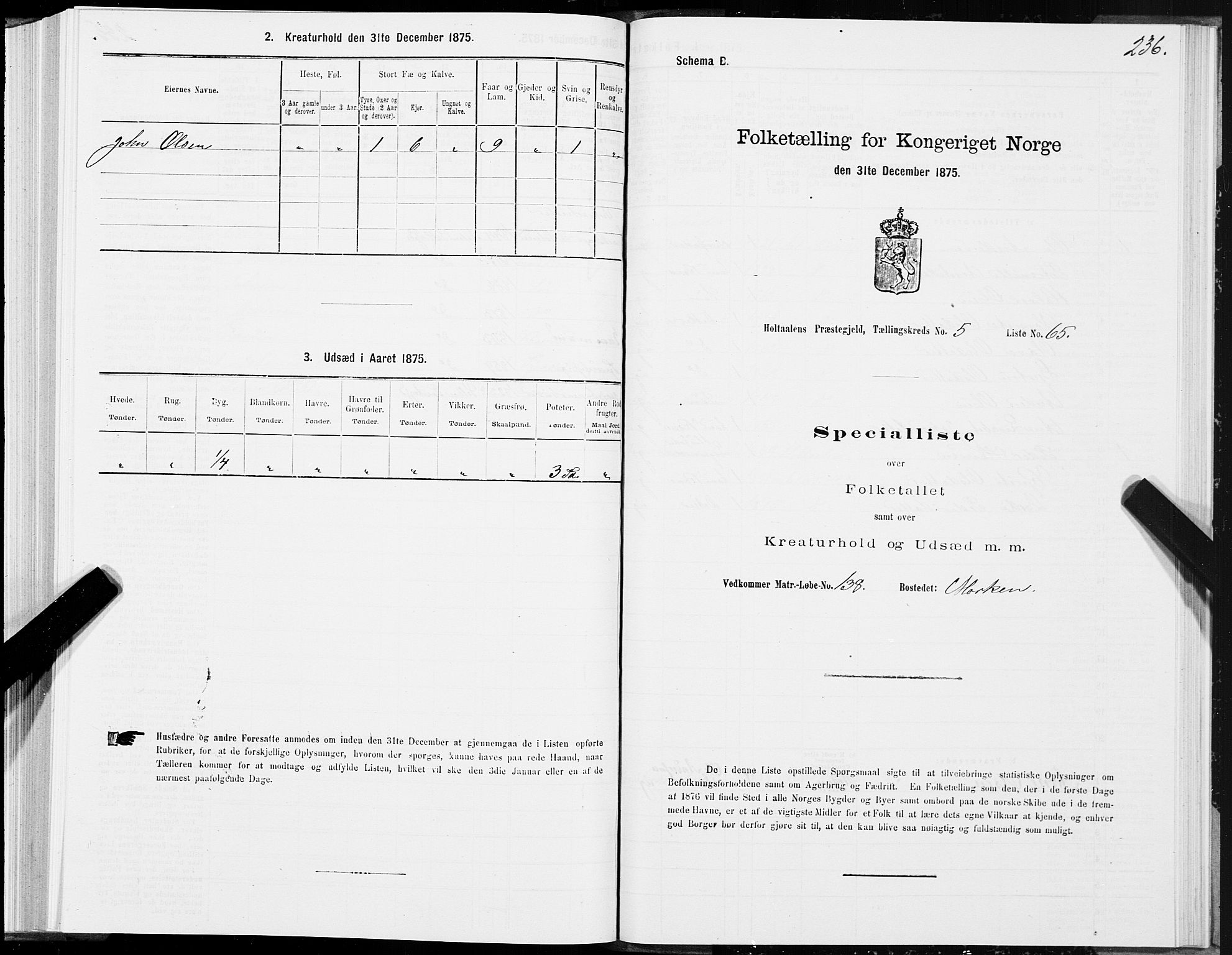 SAT, 1875 census for 1645P Haltdalen, 1875, p. 5236