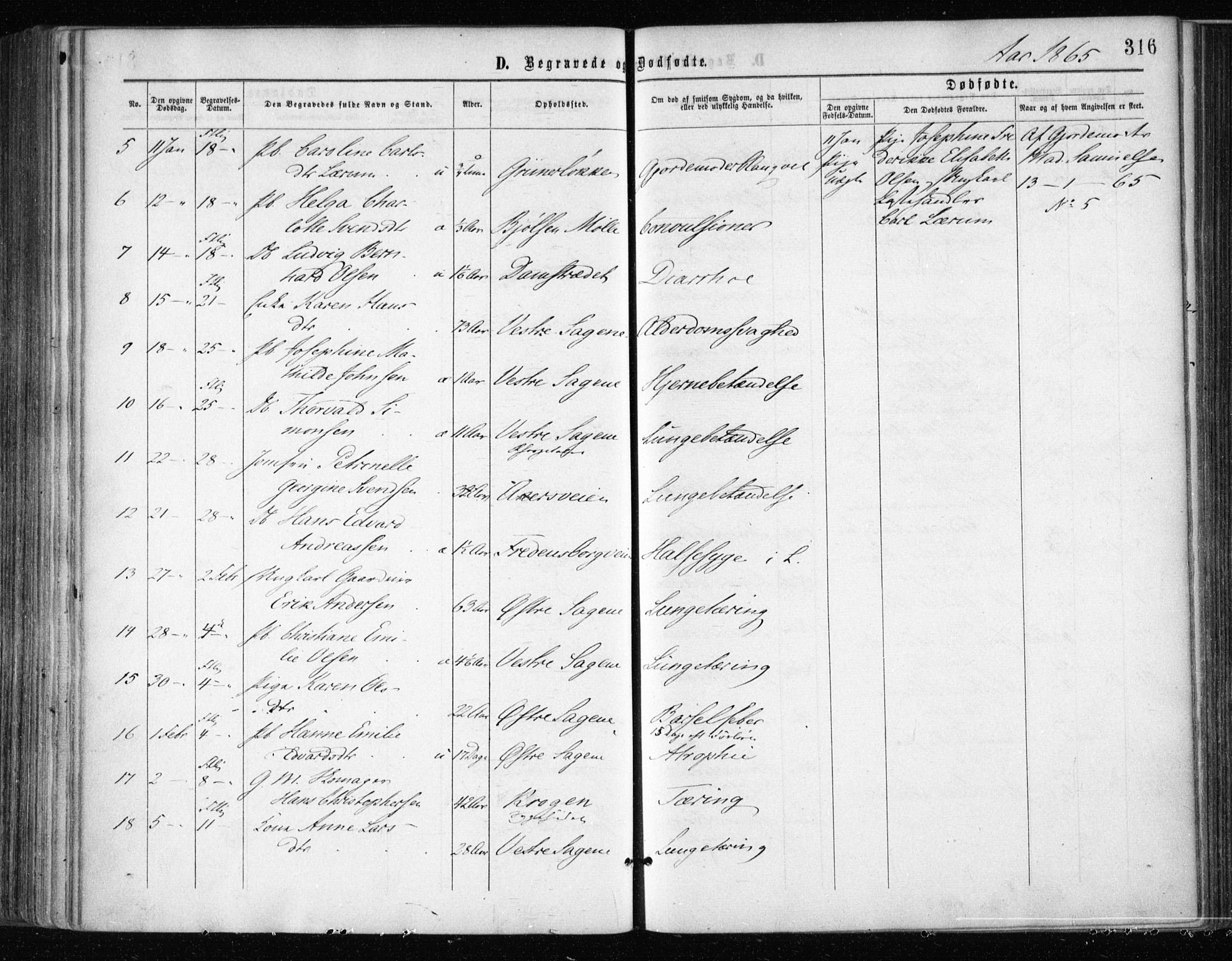 Gamle Aker prestekontor Kirkebøker, AV/SAO-A-10617a/F/L0002: Parish register (official) no. 2, 1864-1872, p. 316