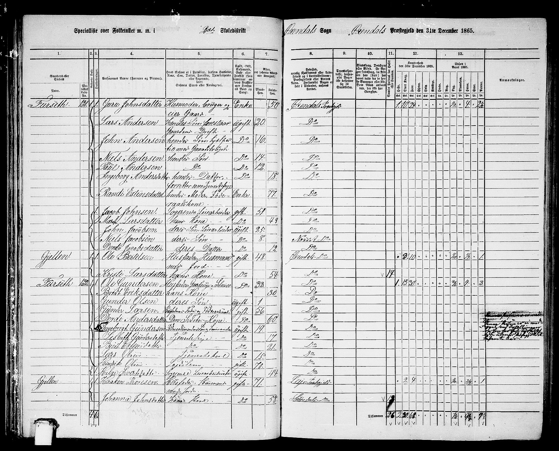 RA, 1865 census for Øksendal, 1865, p. 45