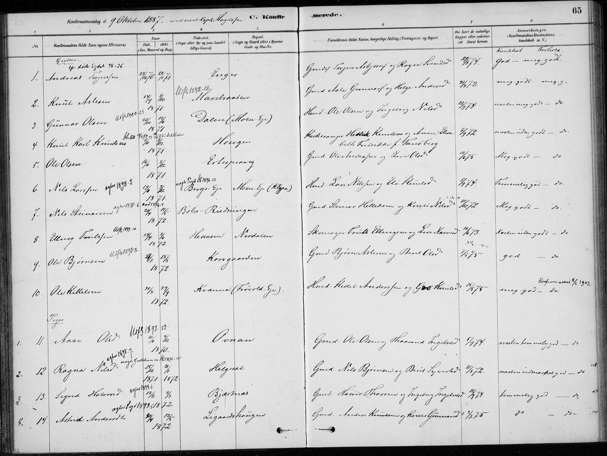 Sigdal kirkebøker, AV/SAKO-A-245/F/Fc/L0001: Parish register (official) no. III 1, 1879-1893, p. 65