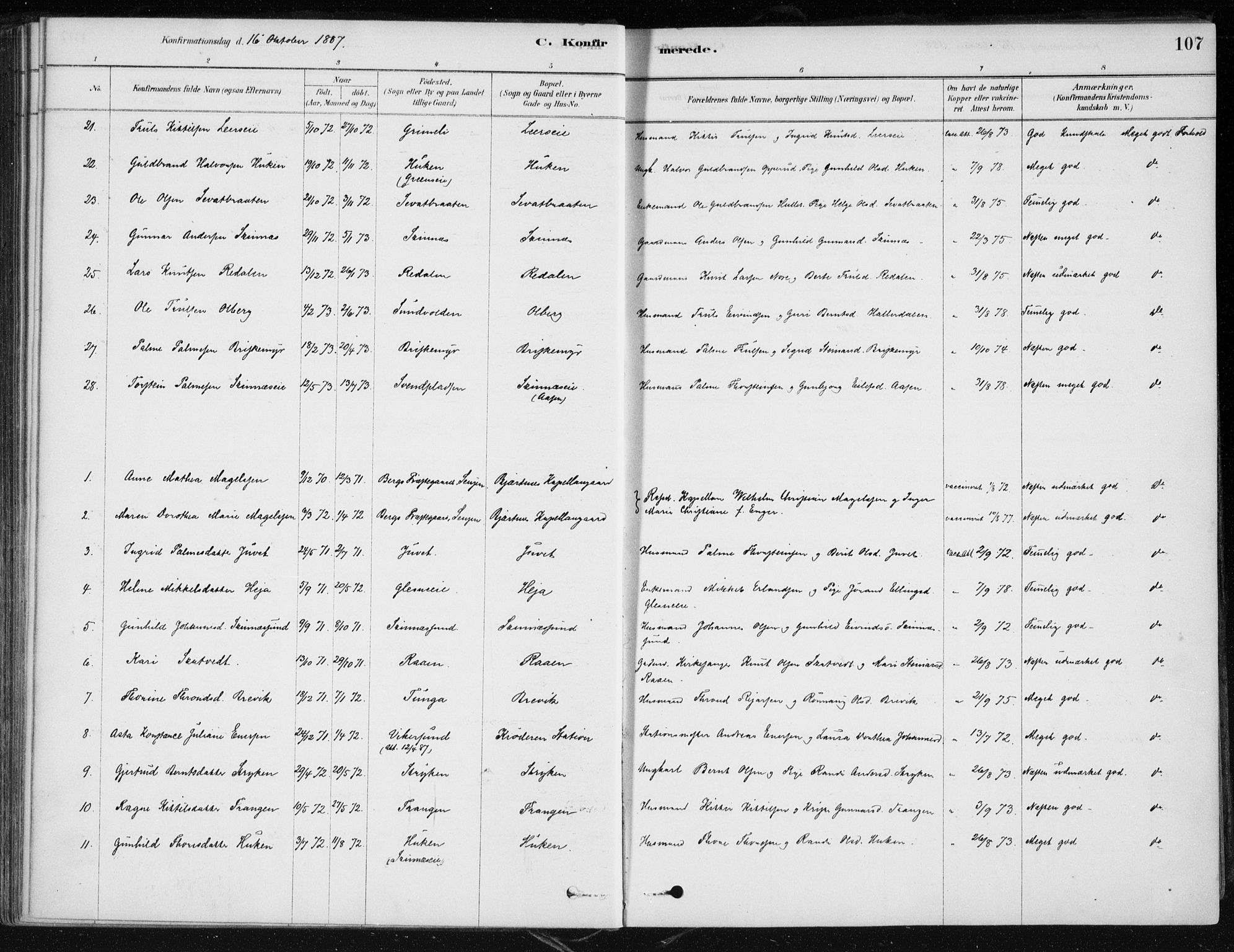 Krødsherad kirkebøker, SAKO/A-19/F/Fa/L0005: Parish register (official) no. 5, 1879-1888, p. 107