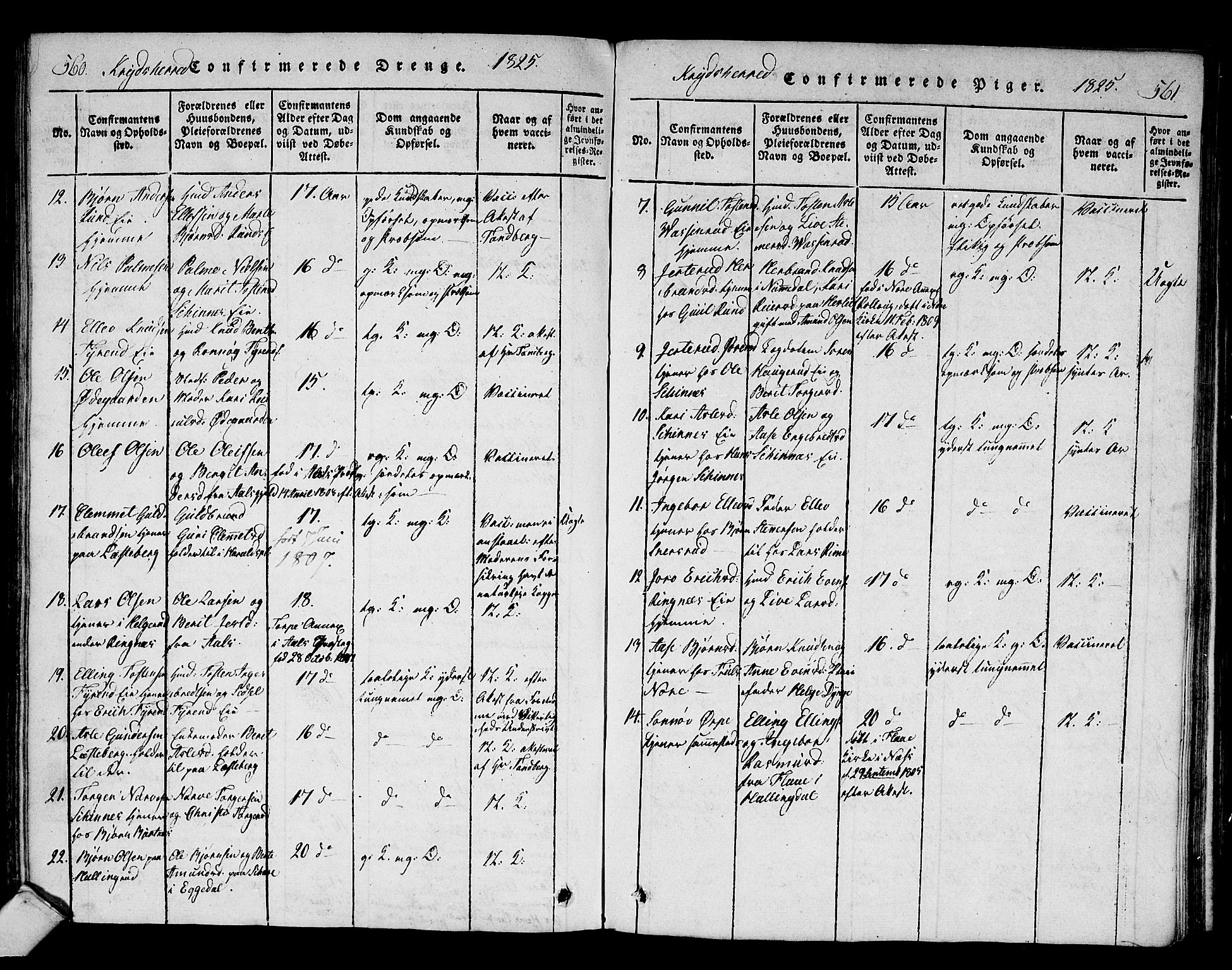 Sigdal kirkebøker, AV/SAKO-A-245/F/Fa/L0005: Parish register (official) no. I 5 /3, 1815-1829, p. 560-561