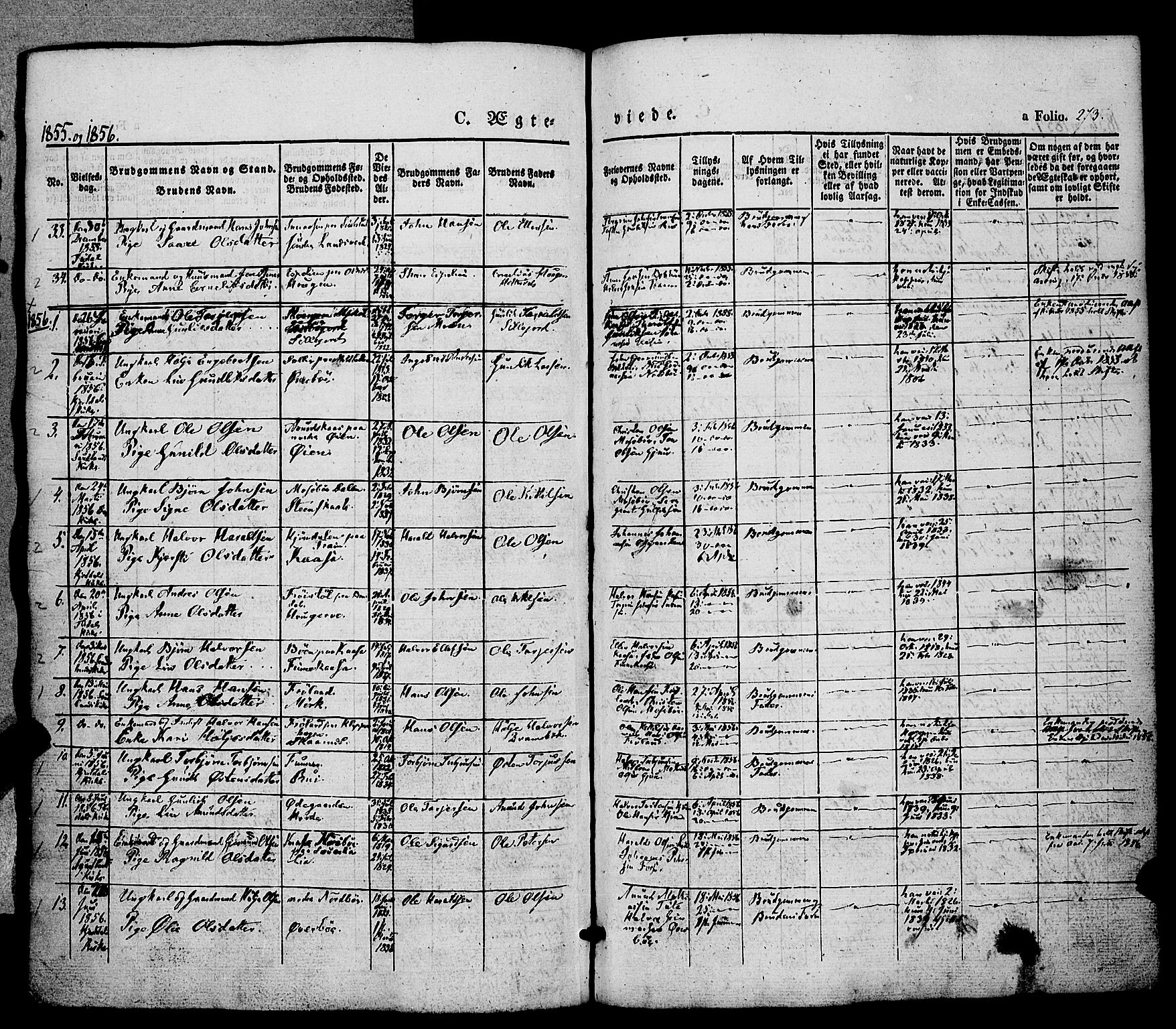 Hjartdal kirkebøker, SAKO/A-270/F/Fa/L0008: Parish register (official) no. I 8, 1844-1859, p. 273