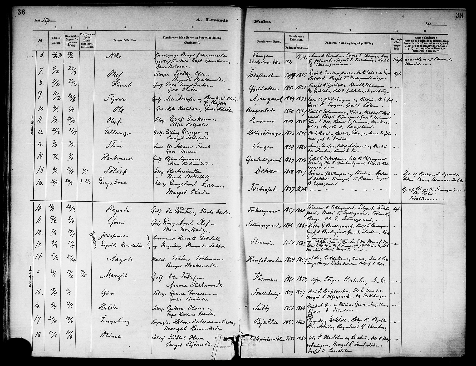 Ål kirkebøker, SAKO/A-249/F/Fa/L0008: Parish register (official) no. I 8, 1882-1896, p. 38