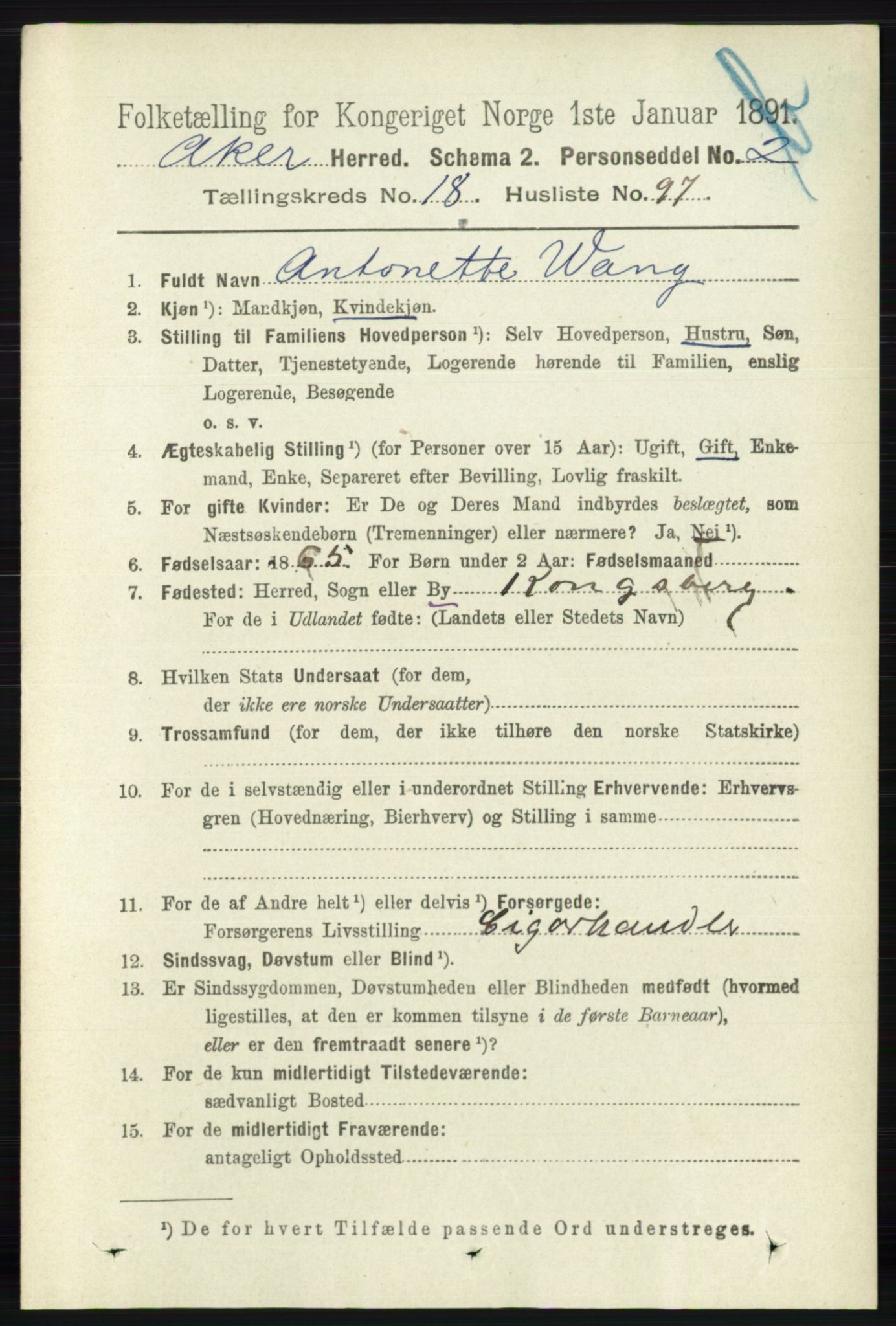 RA, 1891 census for 0218 Aker, 1891, p. 17735