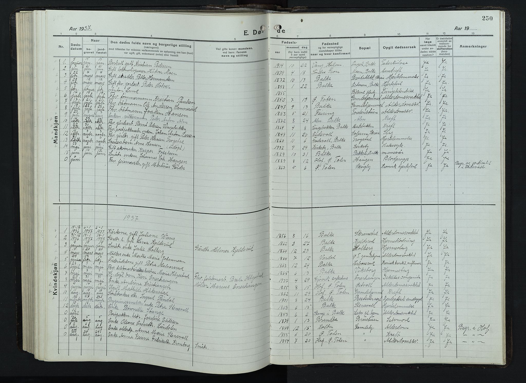 Balke prestekontor, SAH/PREST-106/H/Ha/Hab/L0001: Parish register (copy) no. 1, 1920-1955, p. 250