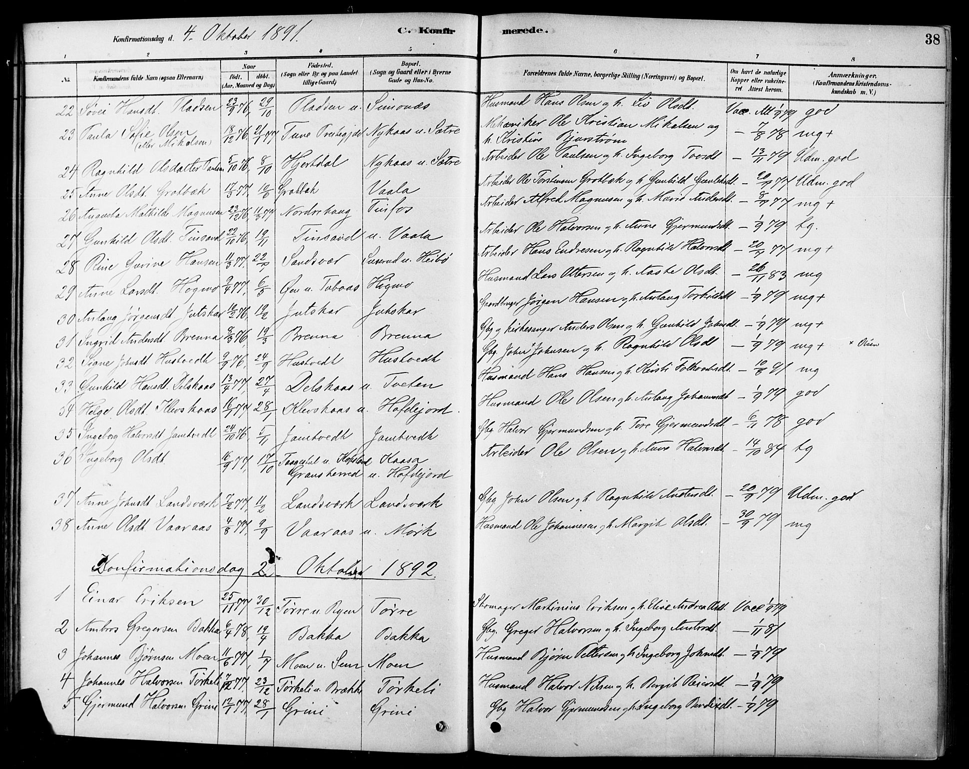 Heddal kirkebøker, AV/SAKO-A-268/F/Fa/L0009: Parish register (official) no. I 9, 1878-1903, p. 38