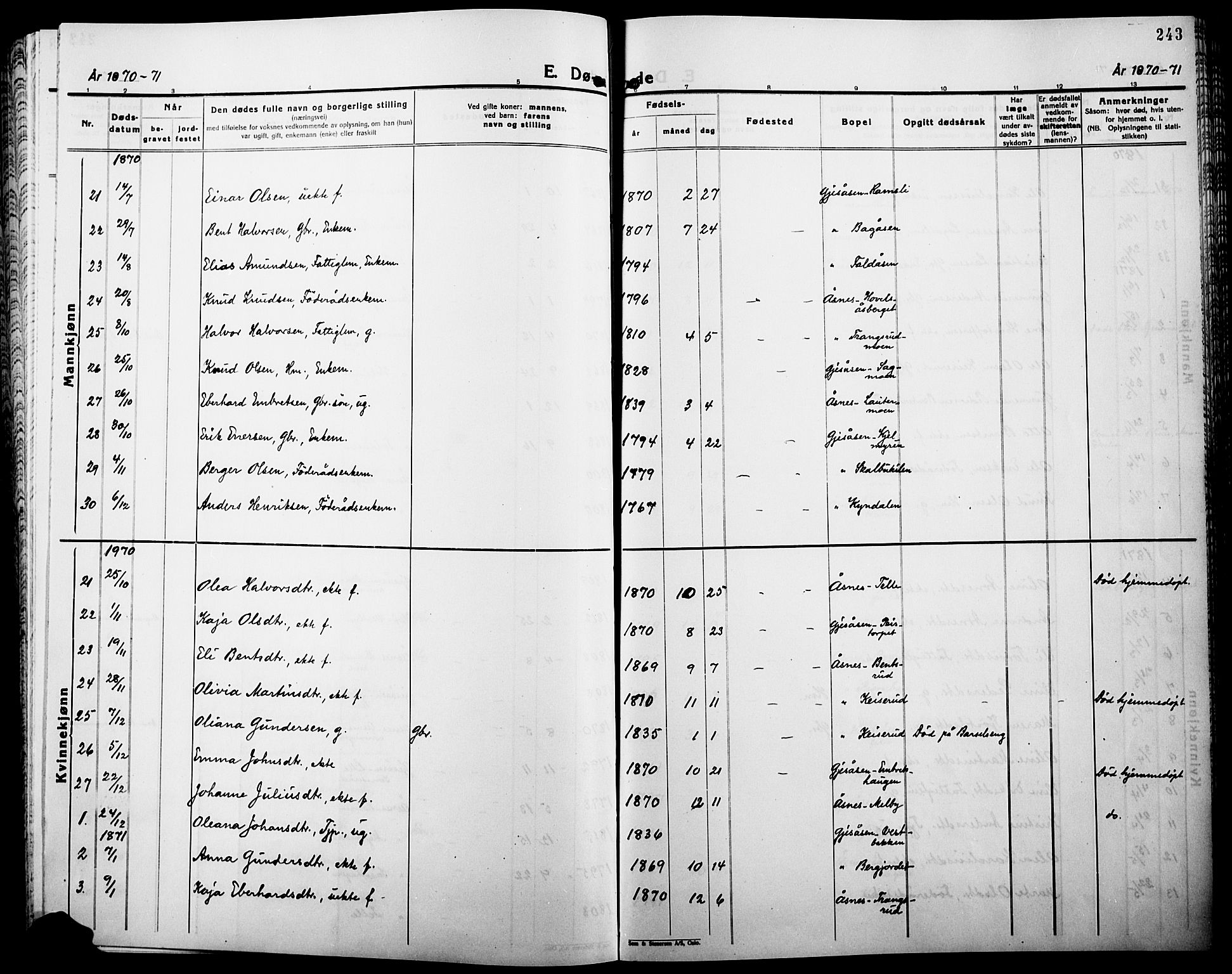 Åsnes prestekontor, SAH/PREST-042/H/Ha/Haa/L0000B: Parish register (official), 1870-1889, p. 243