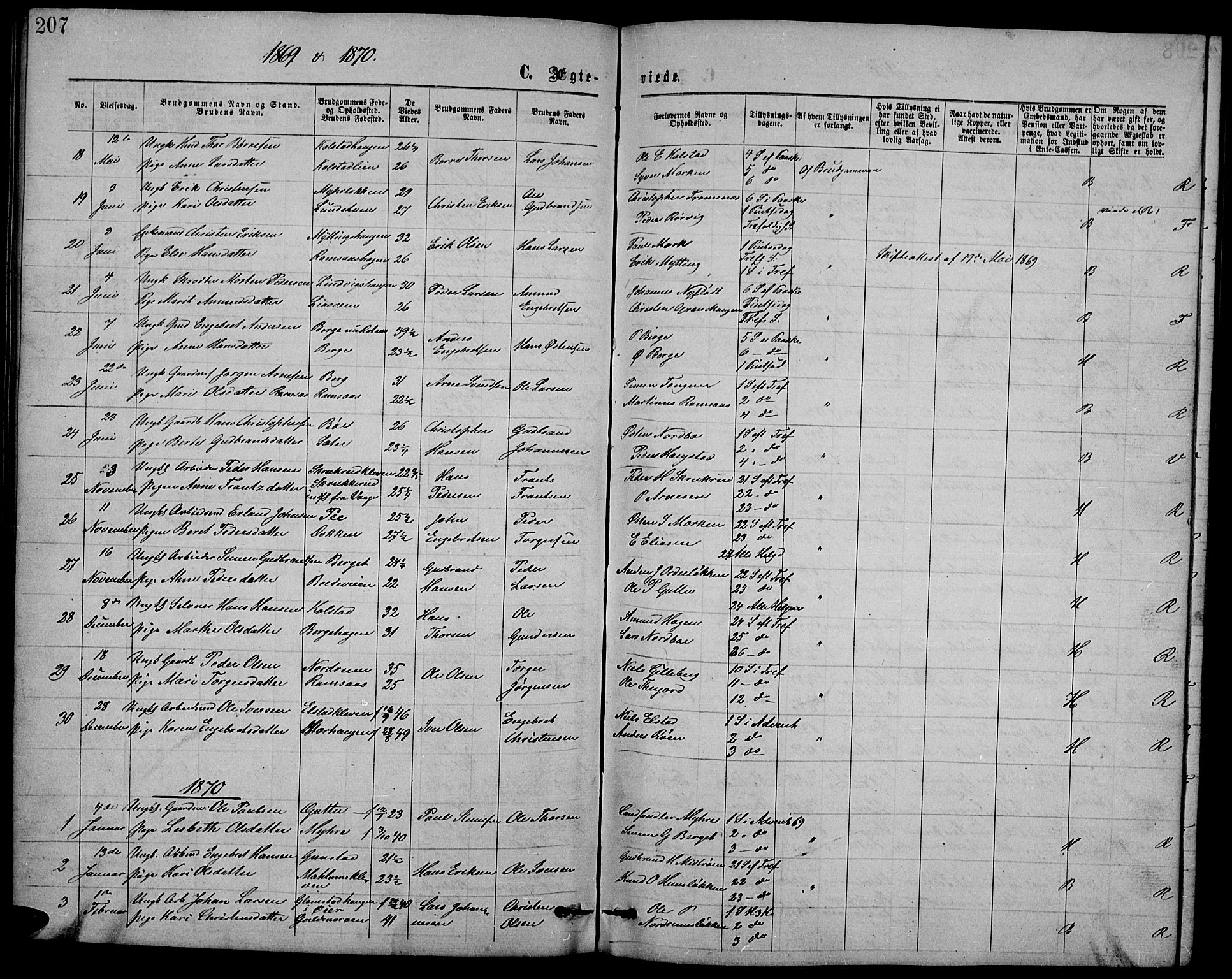 Ringebu prestekontor, AV/SAH-PREST-082/H/Ha/Hab/L0004: Parish register (copy) no. 4, 1867-1879, p. 207