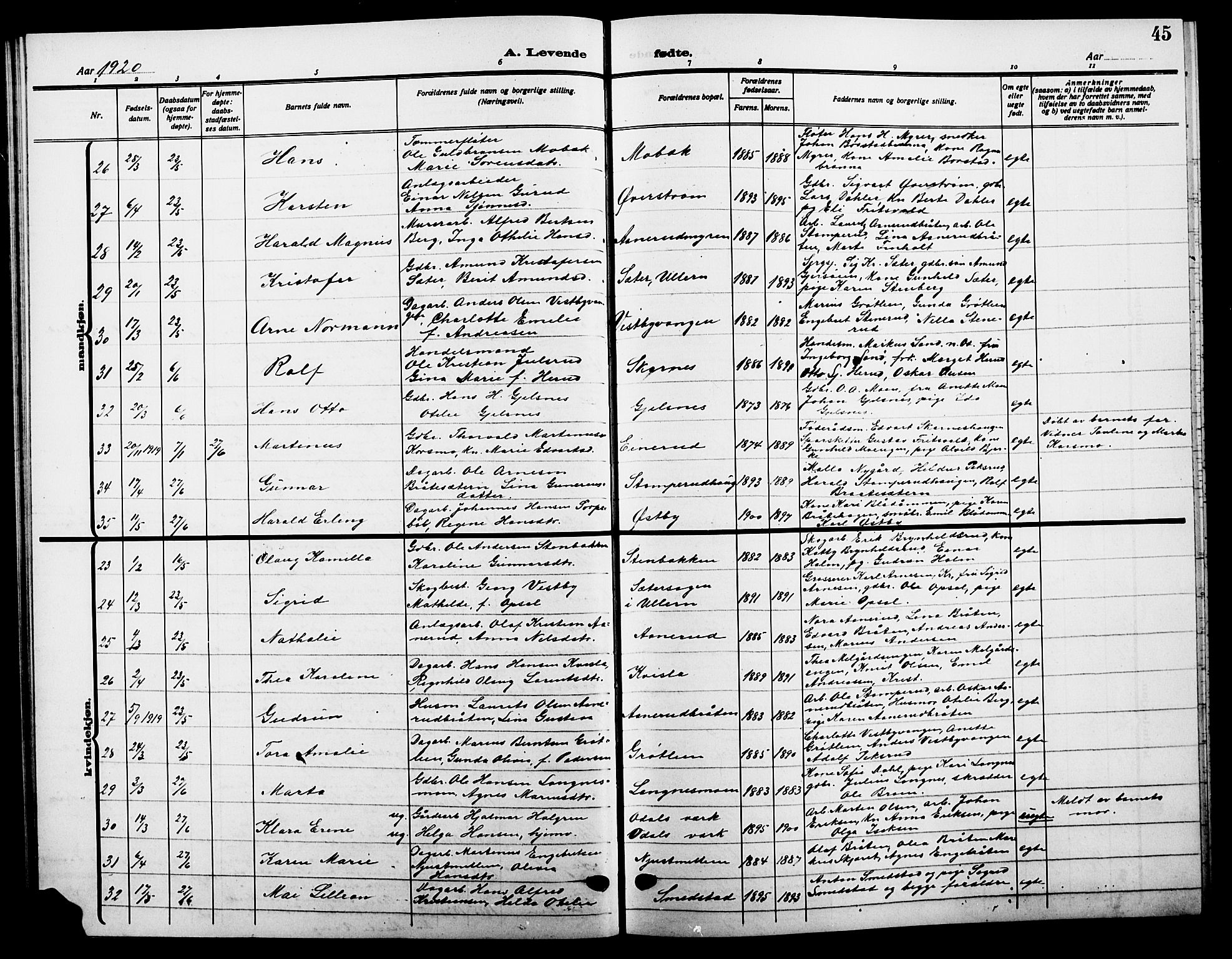 Sør-Odal prestekontor, AV/SAH-PREST-030/H/Ha/Hab/L0008: Parish register (copy) no. 8, 1913-1923, p. 45