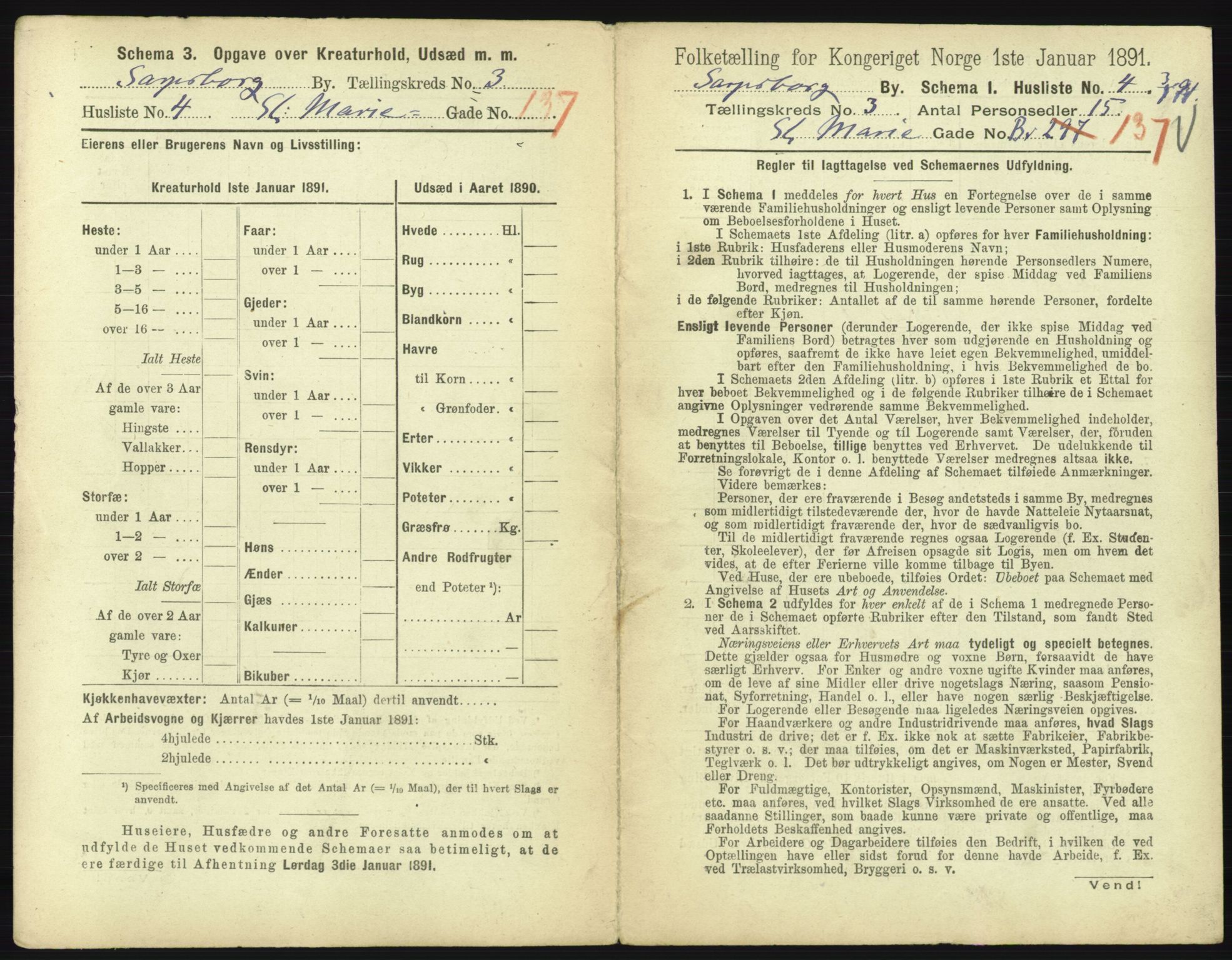 RA, 1891 census for 0102 Sarpsborg, 1891, p. 2196