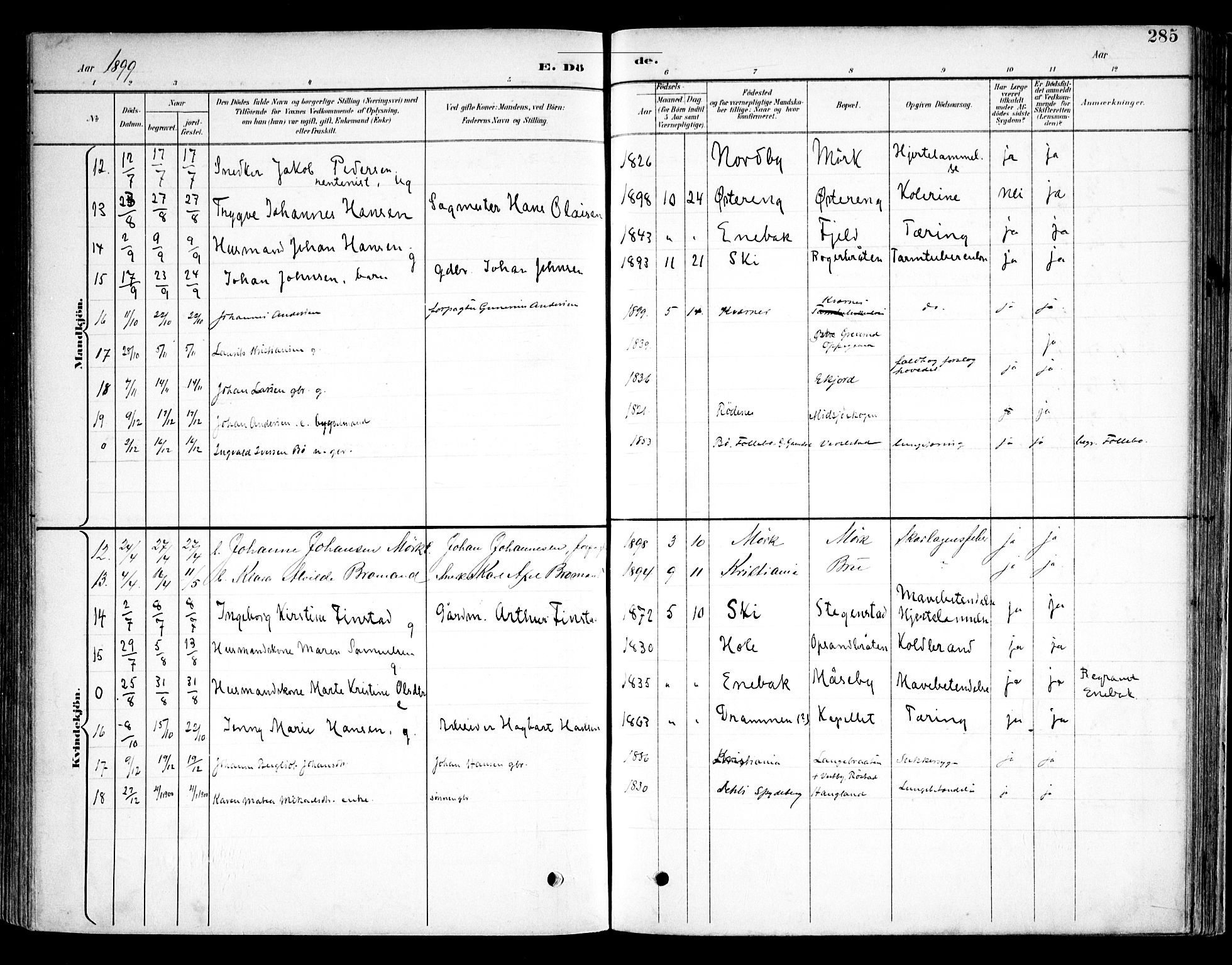 Kråkstad prestekontor Kirkebøker, AV/SAO-A-10125a/F/Fb/L0002: Parish register (official) no. II 2, 1893-1917, p. 285