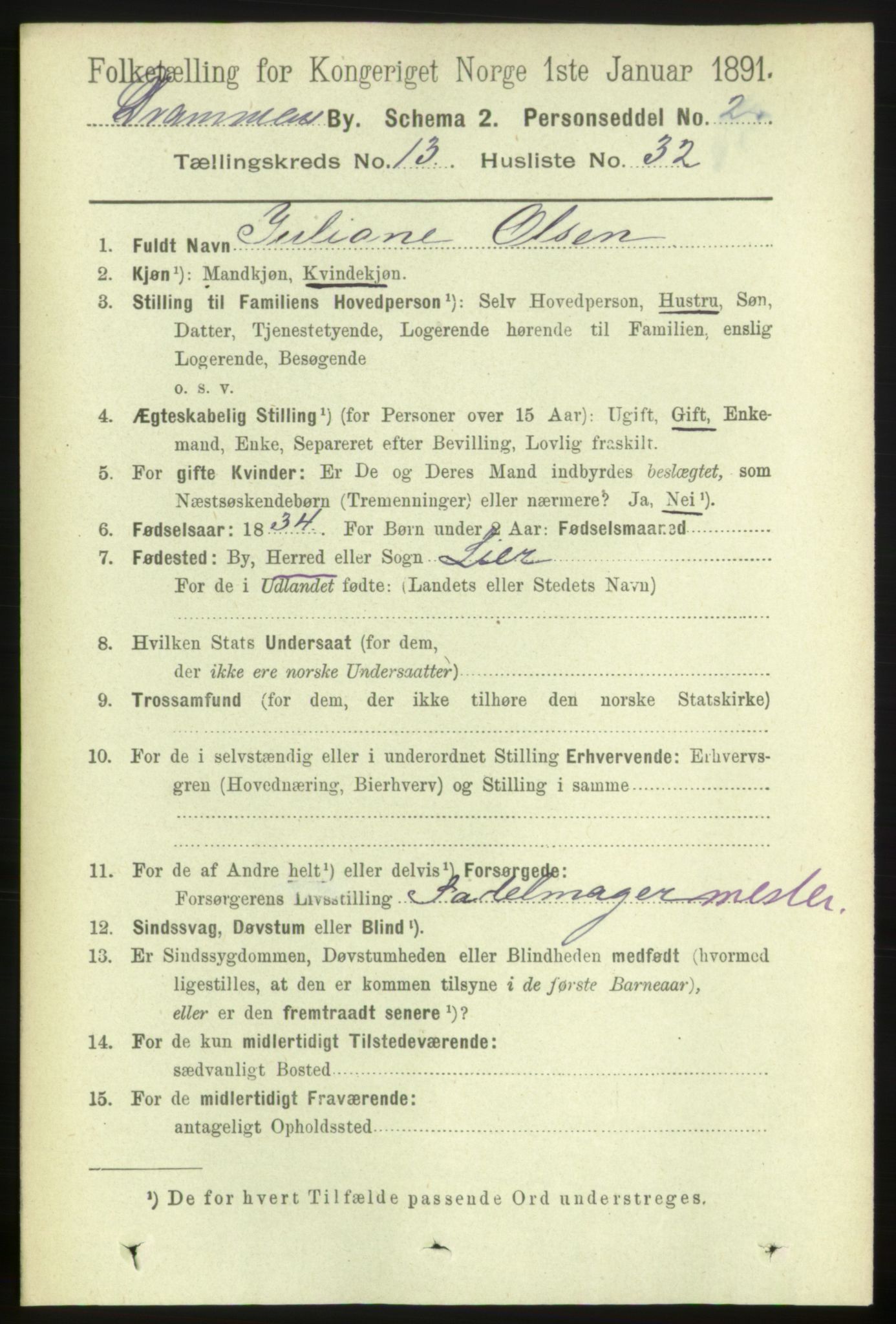 RA, 1891 census for 0602 Drammen, 1891, p. 9951