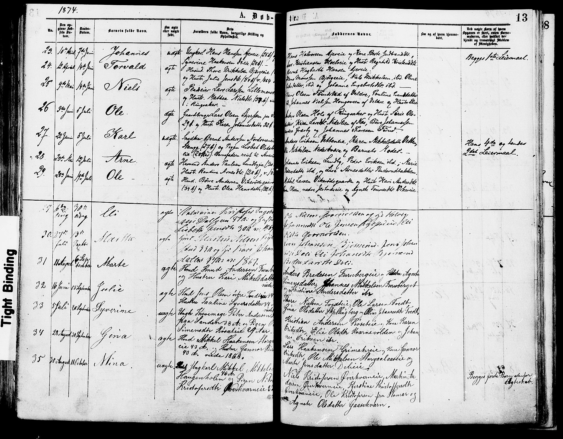 Vang prestekontor, Hedmark, SAH/PREST-008/H/Ha/Haa/L0013: Parish register (official) no. 13, 1855-1879, p. 13