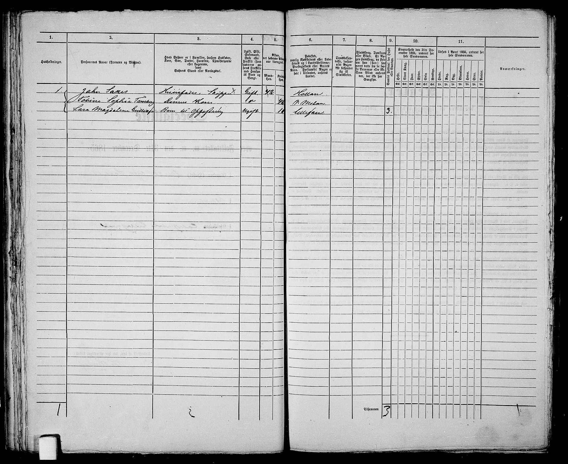 RA, 1865 census for Vestre Moland/Lillesand, 1865, p. 47