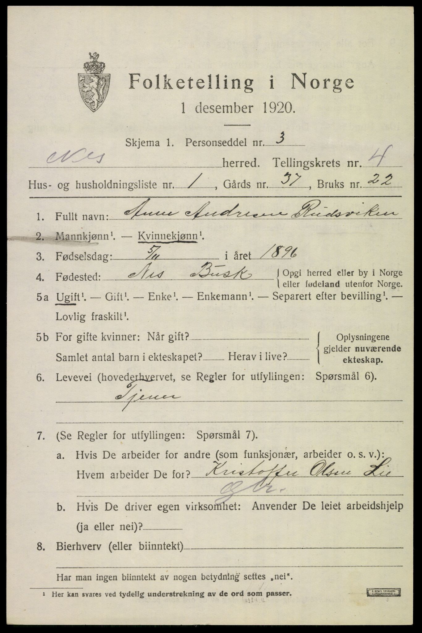 SAKO, 1920 census for Nes (Buskerud), 1920, p. 1988