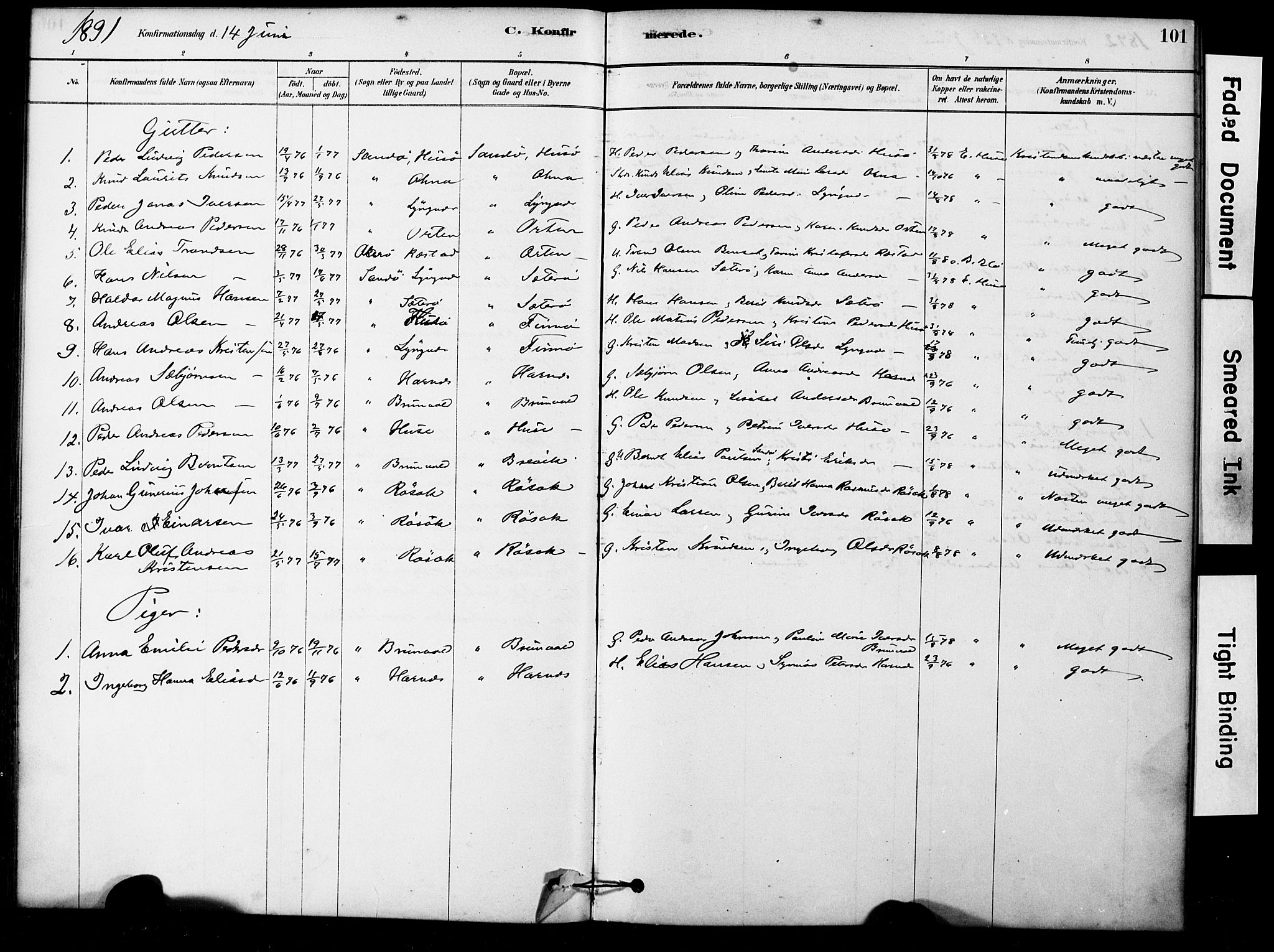 Ministerialprotokoller, klokkerbøker og fødselsregistre - Møre og Romsdal, AV/SAT-A-1454/561/L0729: Parish register (official) no. 561A03, 1878-1900, p. 101