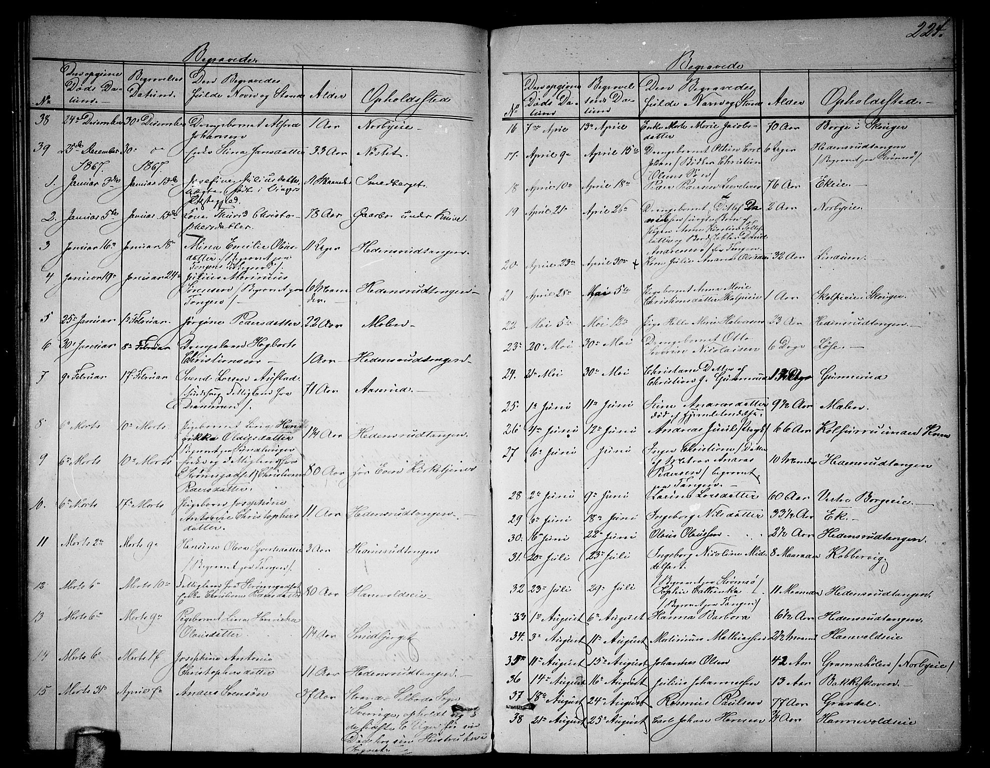 Skoger kirkebøker, AV/SAKO-A-59/G/Ga/L0002: Parish register (copy) no. I 2, 1860-1880, p. 224