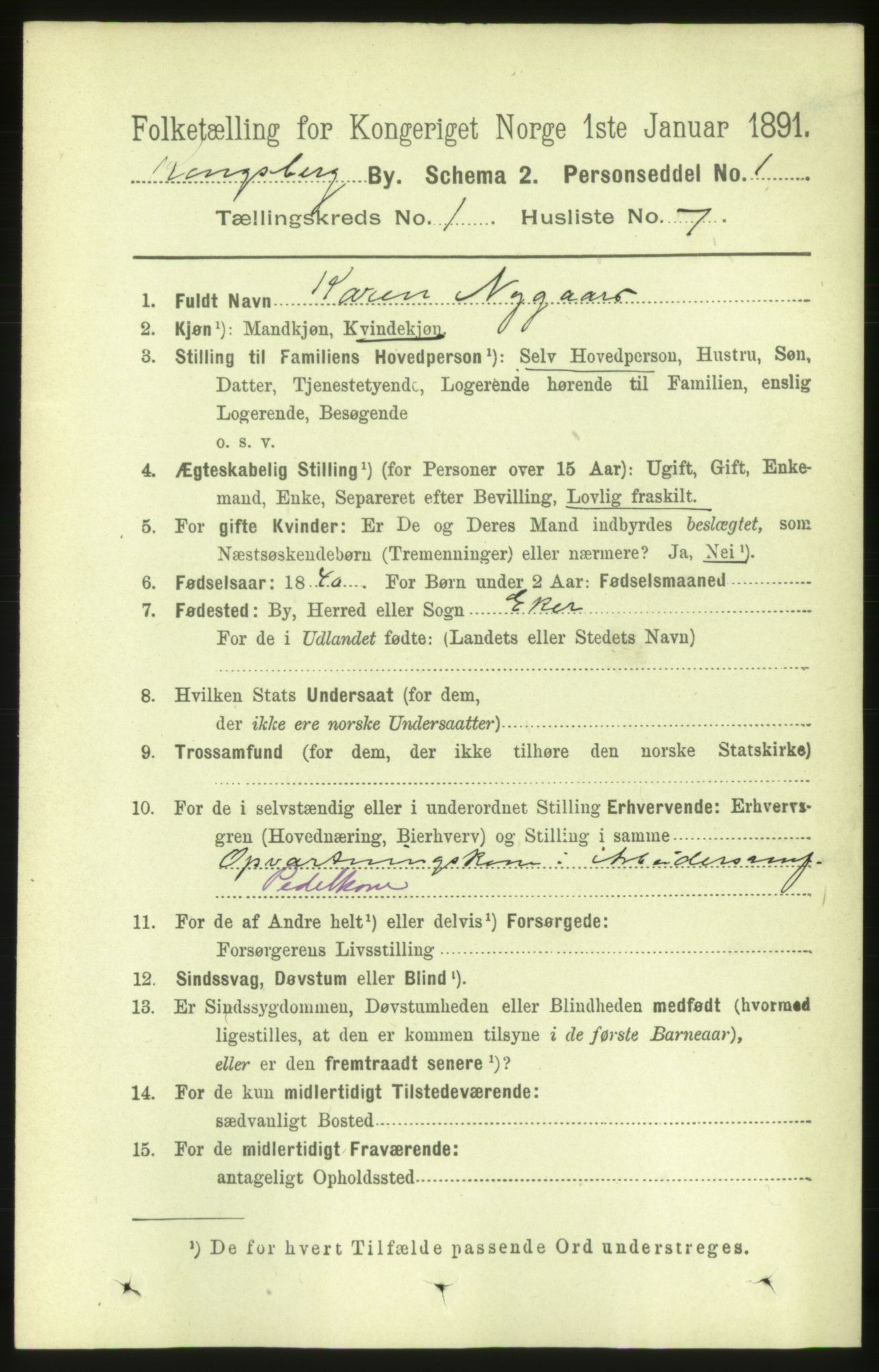 RA, 1891 census for 0604 Kongsberg, 1891, p. 1649