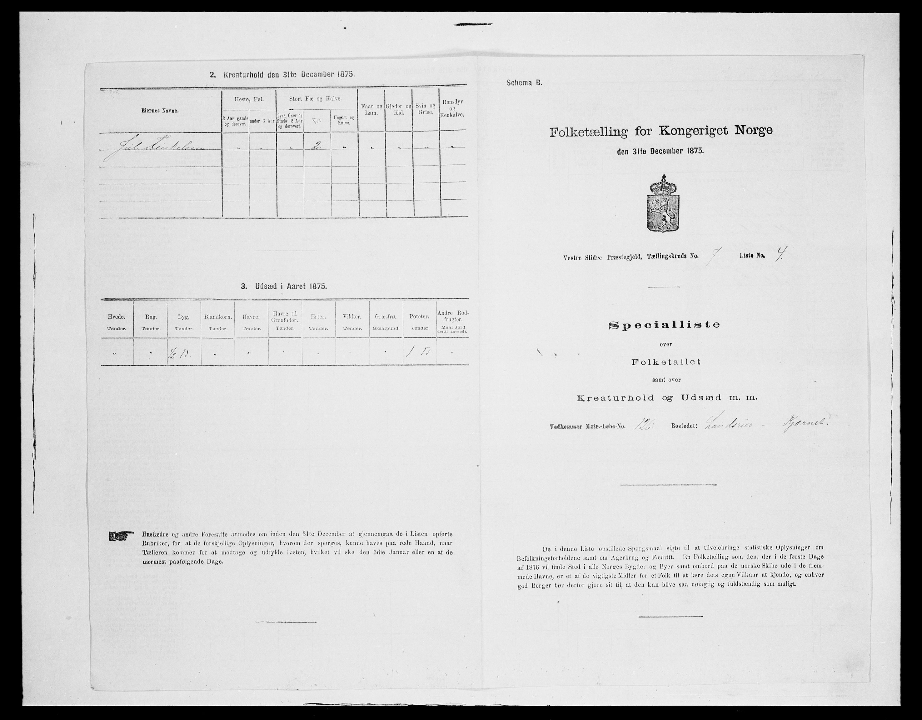 SAH, 1875 census for 0543P Vestre Slidre, 1875, p. 884