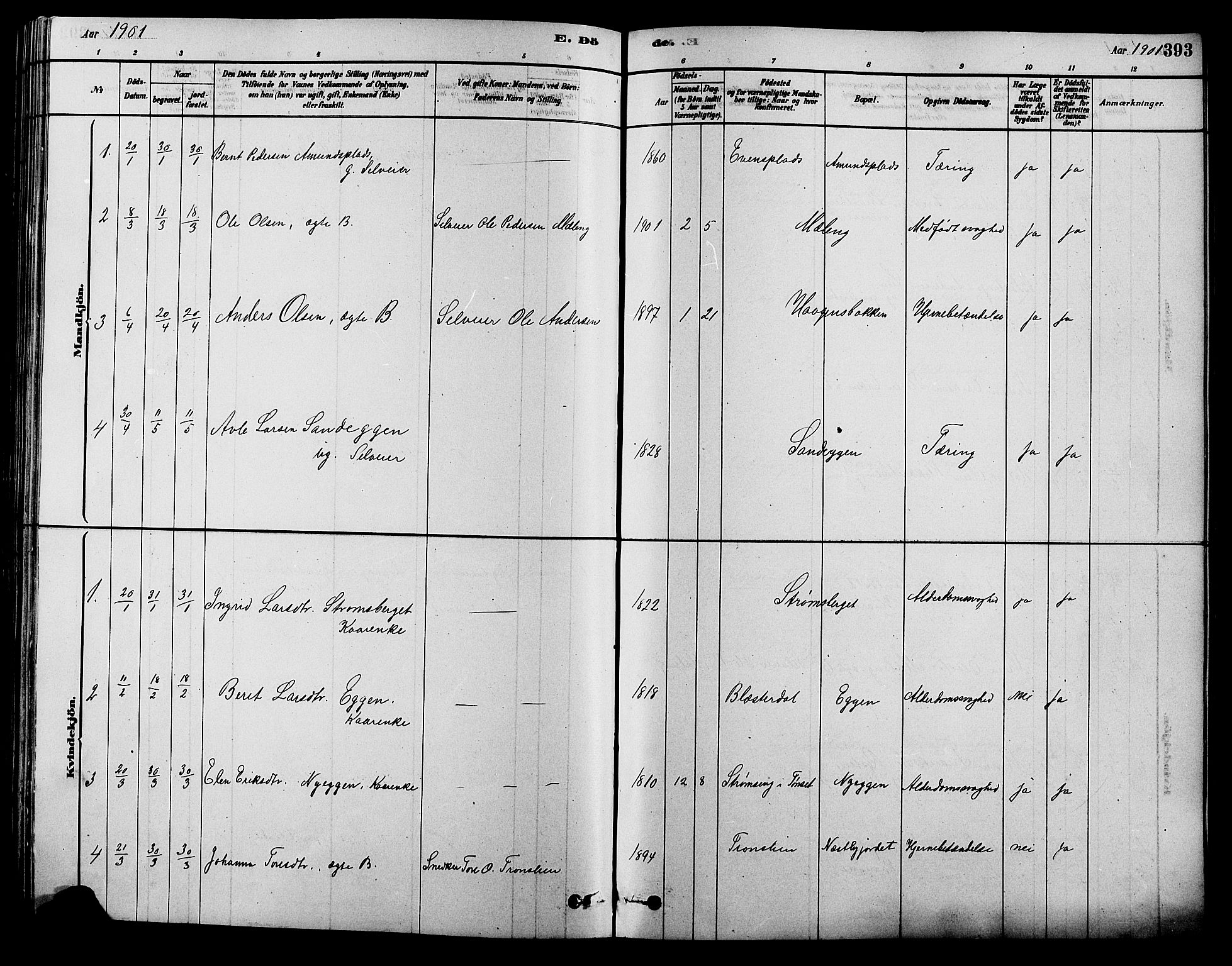 Alvdal prestekontor, SAH/PREST-060/H/Ha/Hab/L0003: Parish register (copy) no. 3, 1878-1907, p. 393