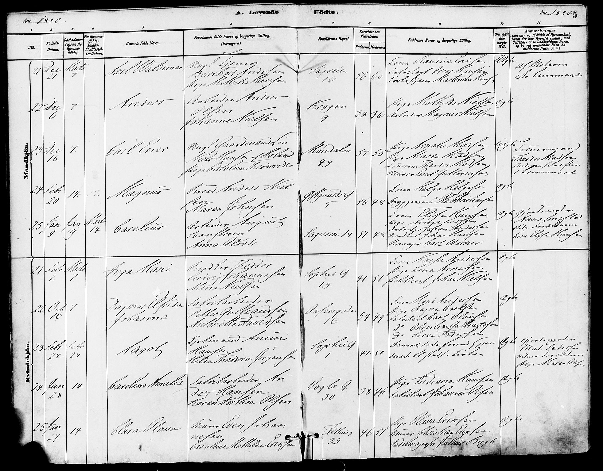 Gamle Aker prestekontor Kirkebøker, SAO/A-10617a/F/L0006: Parish register (official) no. 6, 1880-1887, p. 5
