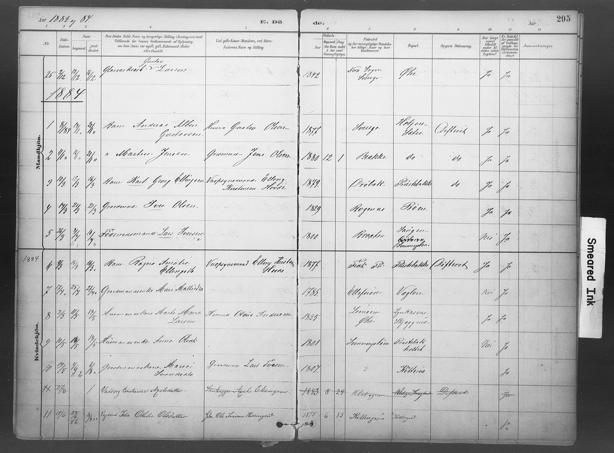 Idd prestekontor Kirkebøker, SAO/A-10911/F/Fb/L0002: Parish register (official) no. II 2, 1882-1923, p. 295