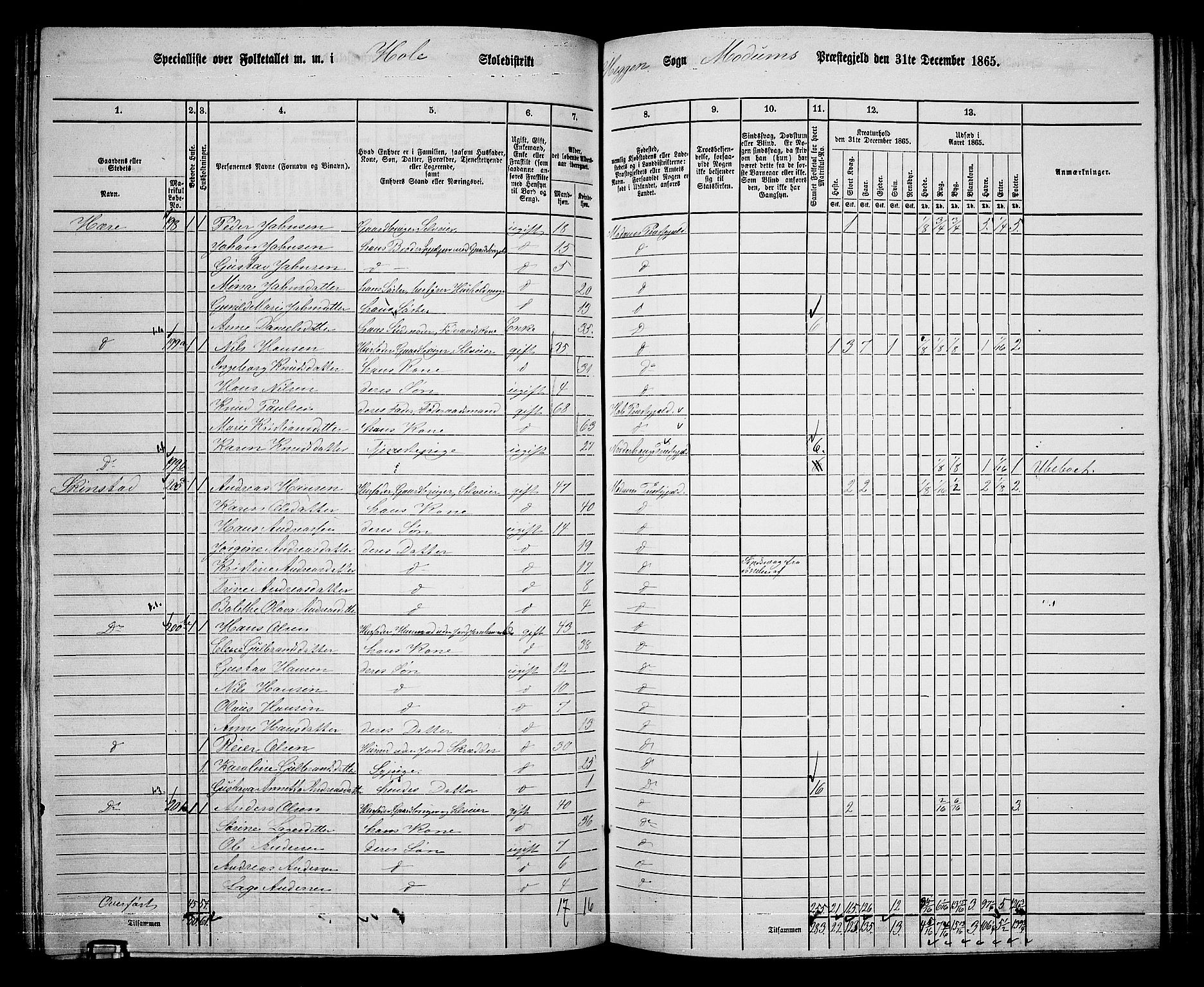 RA, 1865 census for Modum, 1865, p. 178