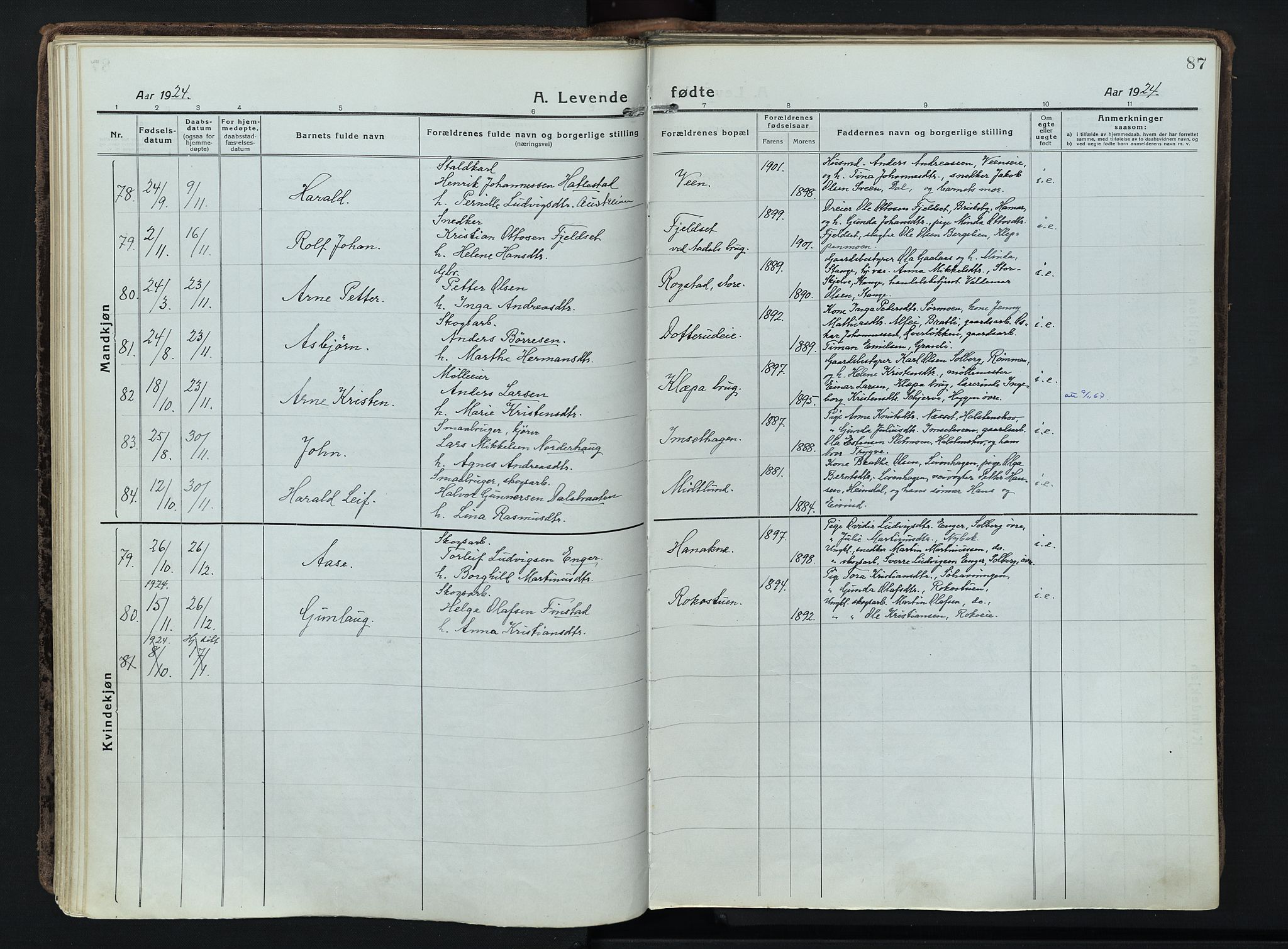 Løten prestekontor, AV/SAH-PREST-022/K/Ka/L0012: Parish register (official) no. 12, 1918-1926, p. 87