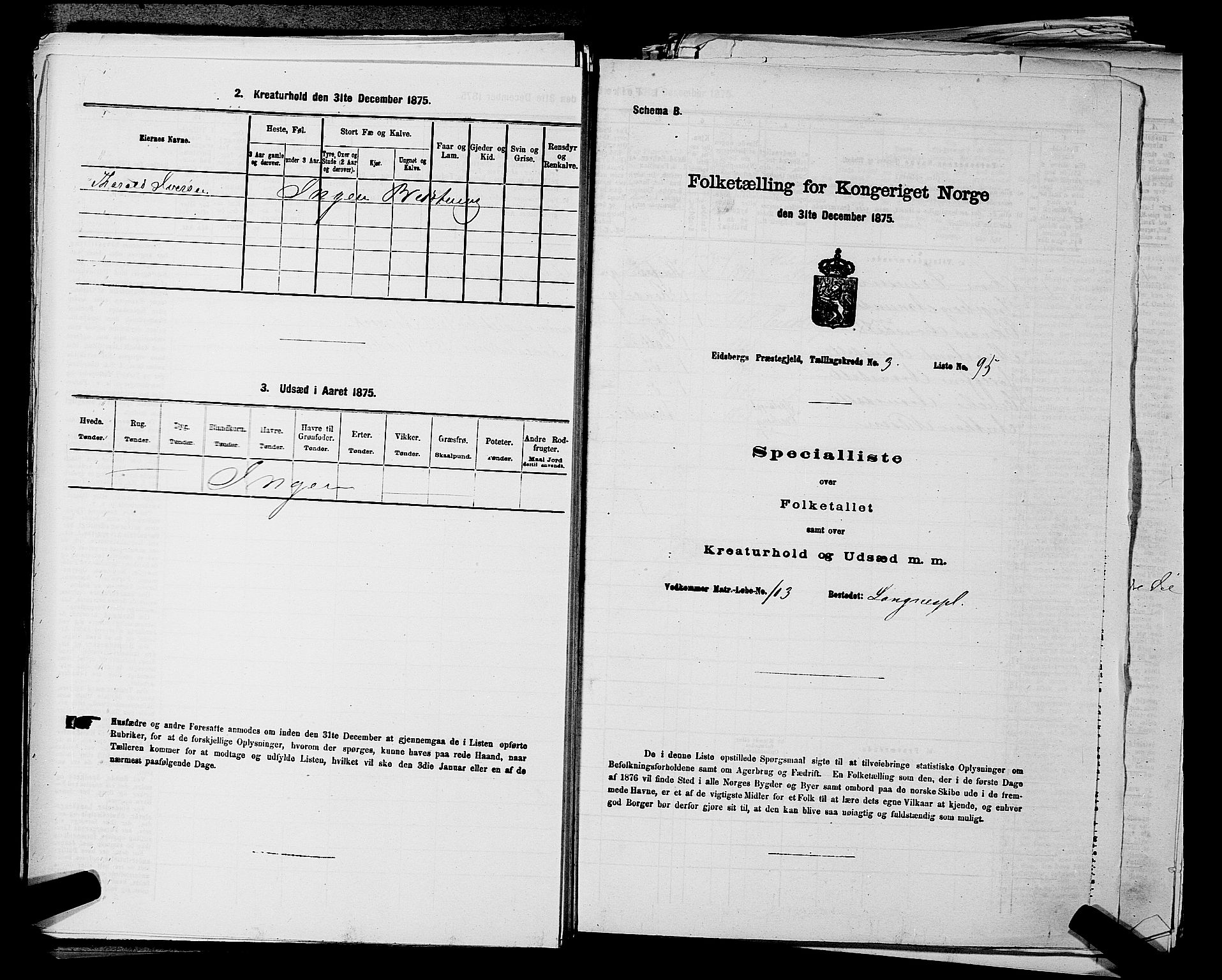 RA, 1875 census for 0125P Eidsberg, 1875, p. 629