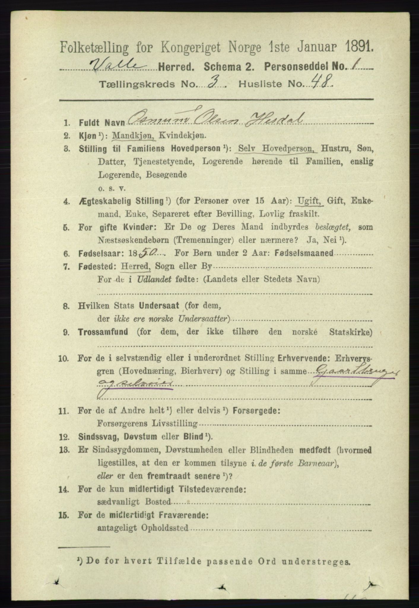 RA, 1891 census for 0940 Valle, 1891, p. 941