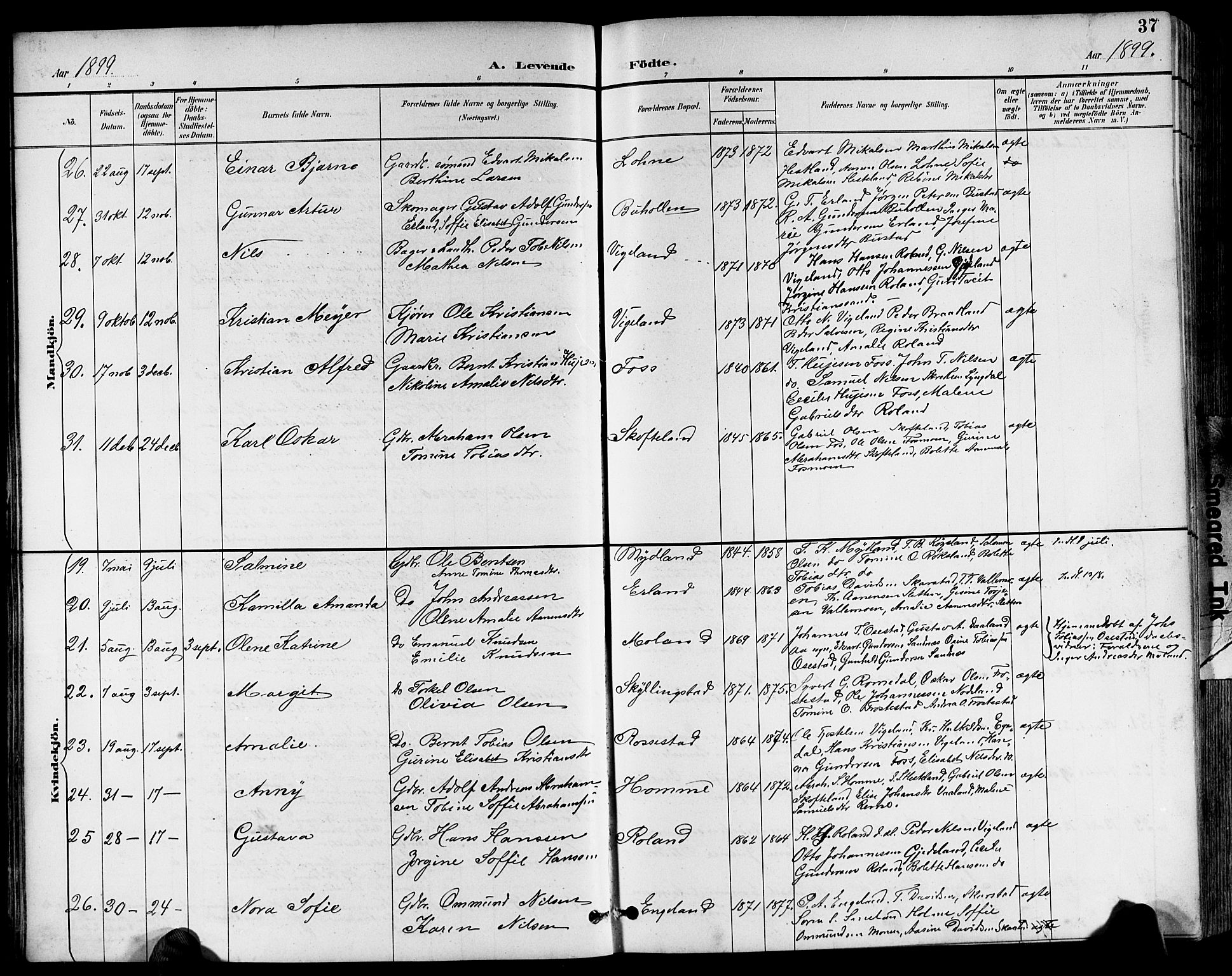 Sør-Audnedal sokneprestkontor, AV/SAK-1111-0039/F/Fb/Fbb/L0006: Parish register (copy) no. B 6, 1893-1915, p. 37