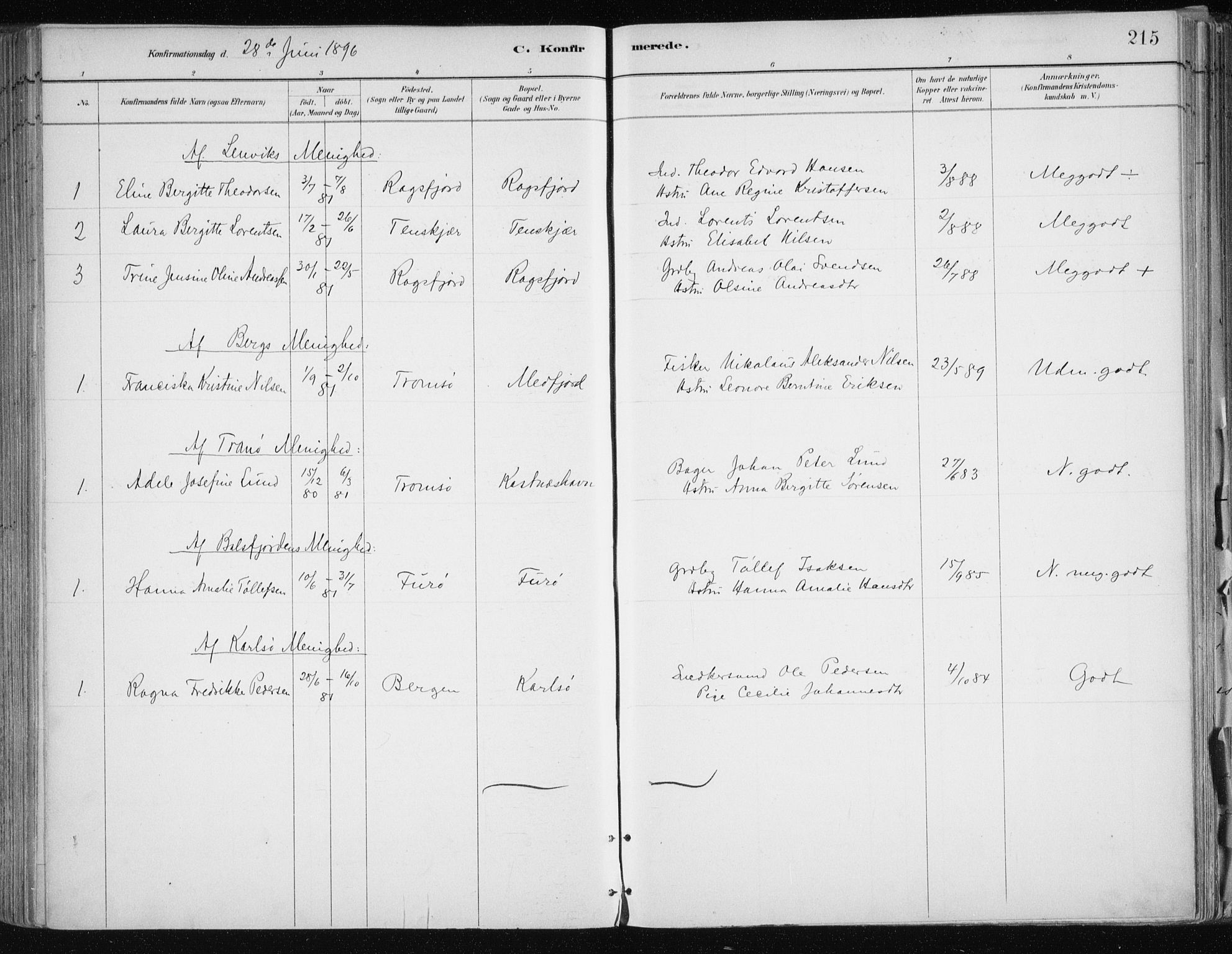 Tromsøysund sokneprestkontor, AV/SATØ-S-1304/G/Ga/L0005kirke: Parish register (official) no. 5, 1888-1896, p. 215
