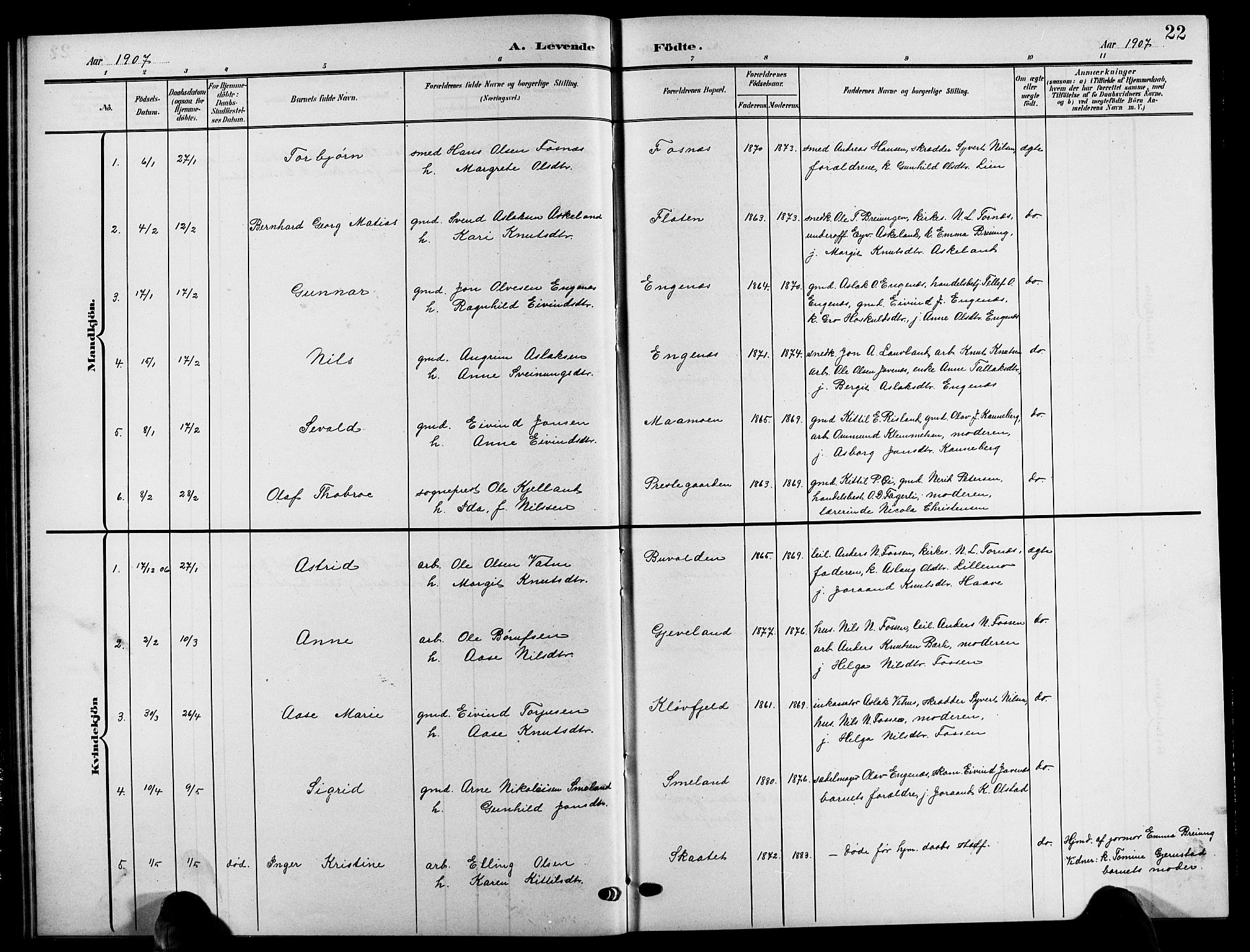 Åmli sokneprestkontor, SAK/1111-0050/F/Fb/Fbc/L0005: Parish register (copy) no. B 5, 1903-1916, p. 22