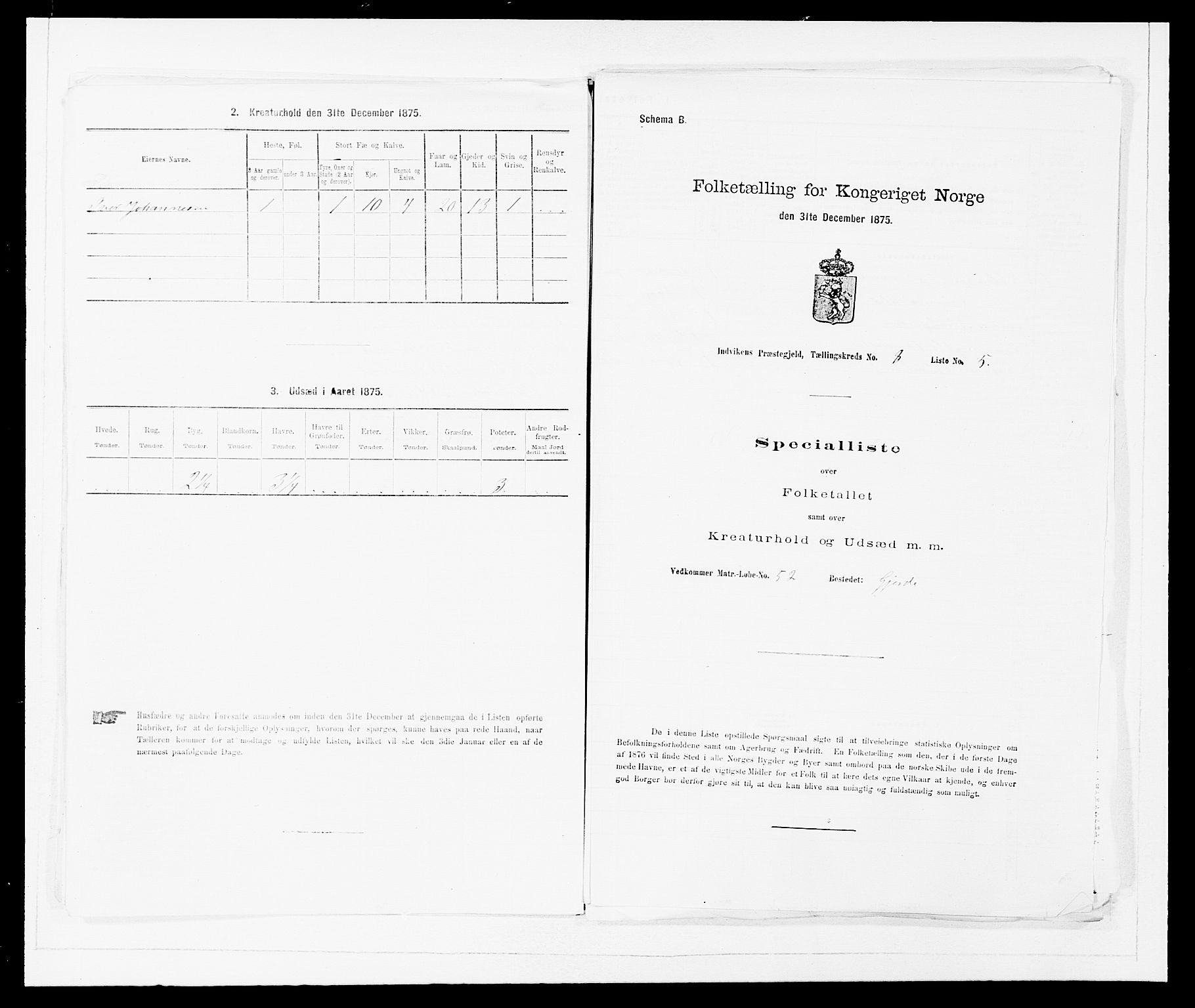 SAB, 1875 Census for 1447P Innvik, 1875, p. 903