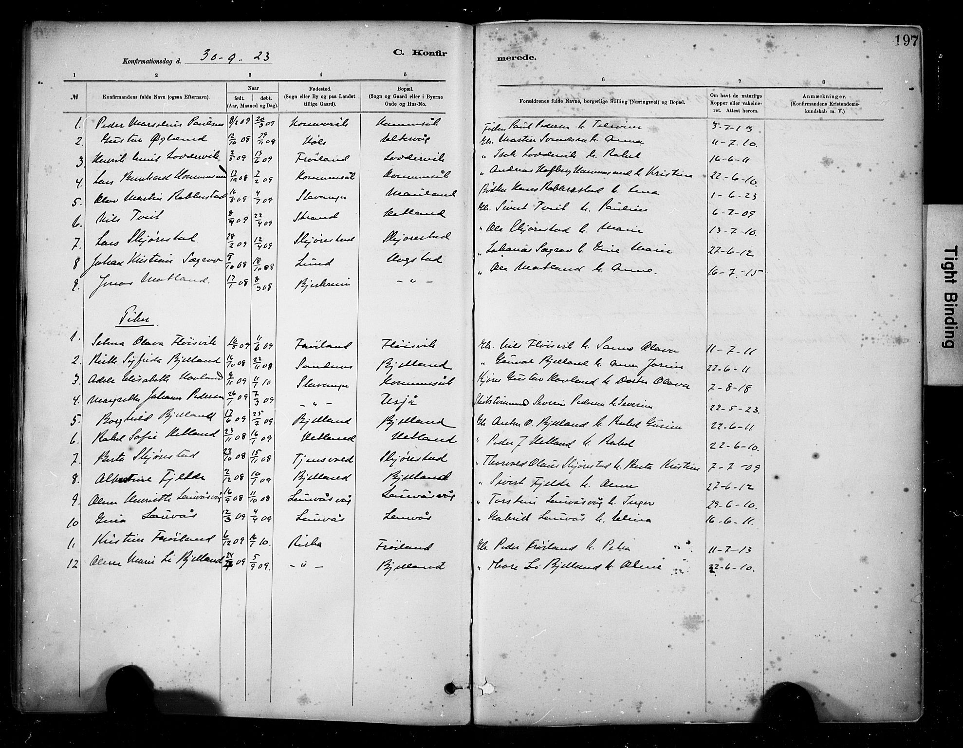 Hetland sokneprestkontor, SAST/A-101826/30/30BA/L0010: Parish register (official) no. A 10, 1882-1925, p. 197