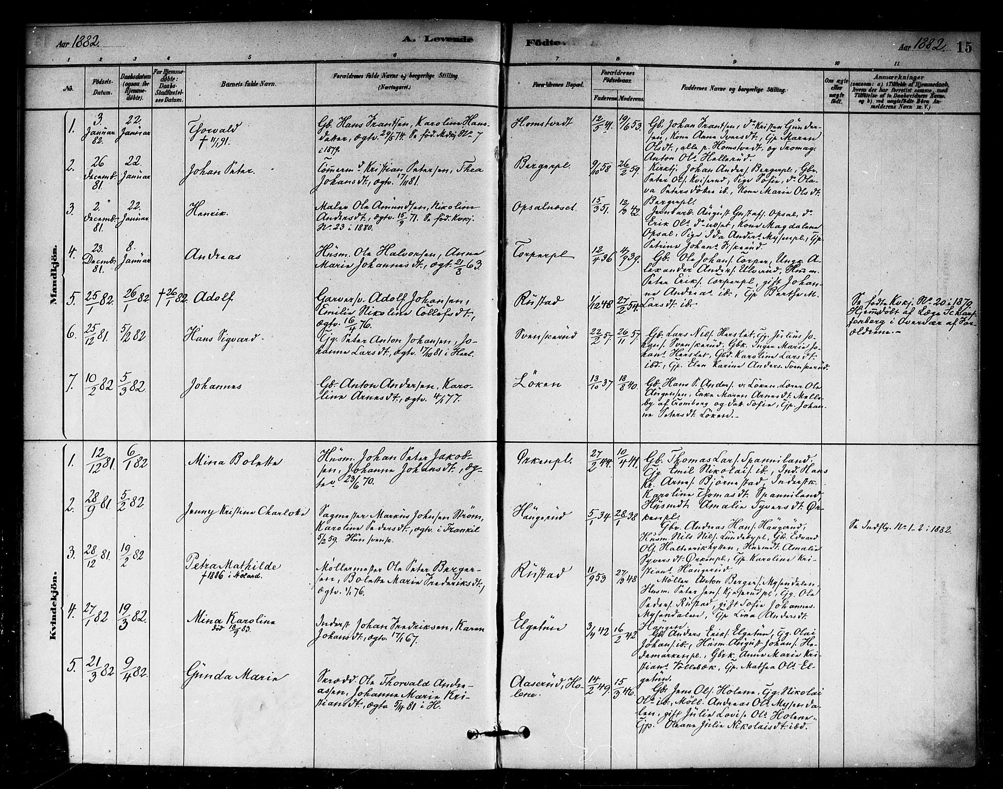 Eidsberg prestekontor Kirkebøker, SAO/A-10905/F/Fb/L0001: Parish register (official) no. II 1, 1879-1900, p. 15