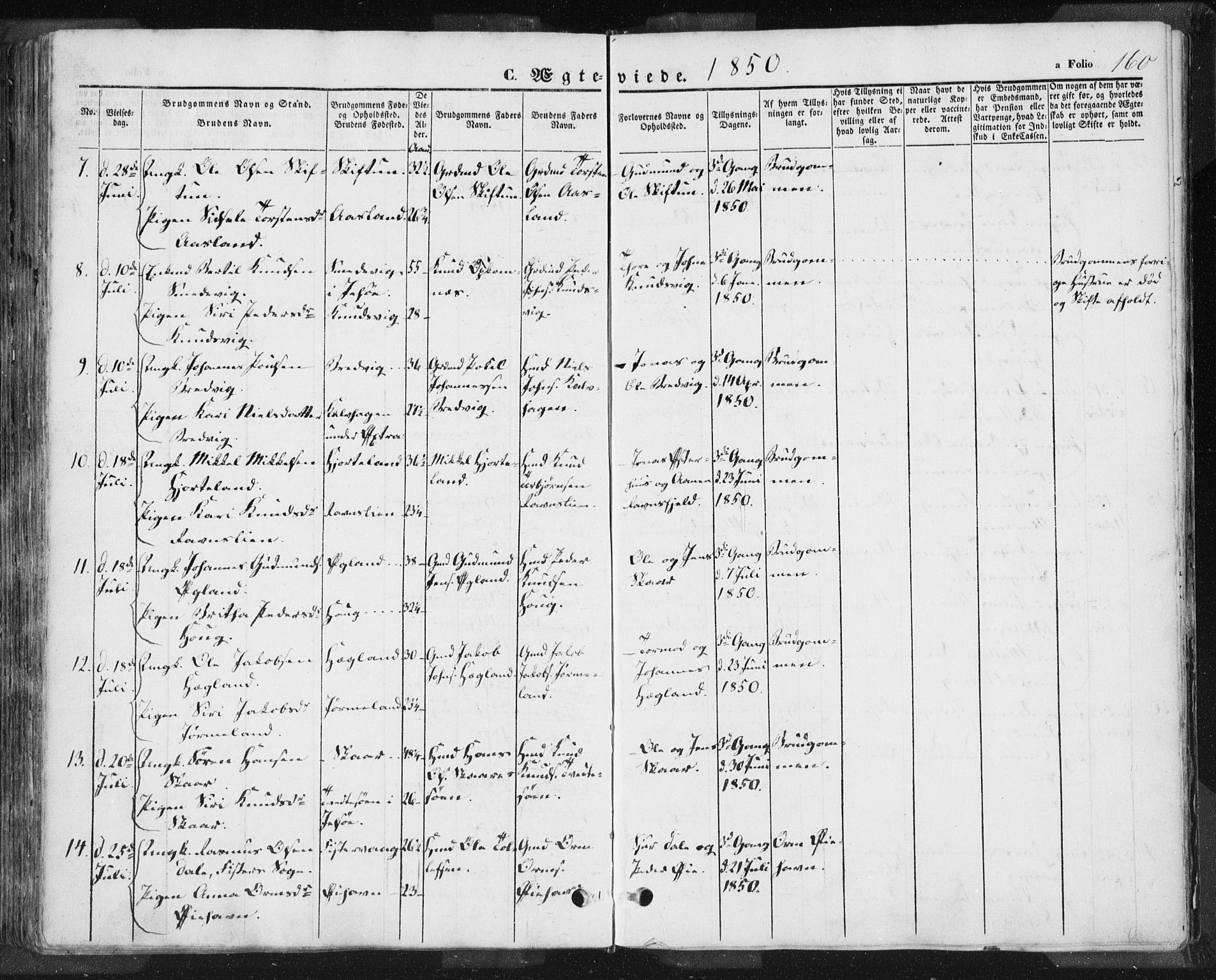 Hjelmeland sokneprestkontor, AV/SAST-A-101843/01/IV/L0009: Parish register (official) no. A 9, 1846-1860, p. 160